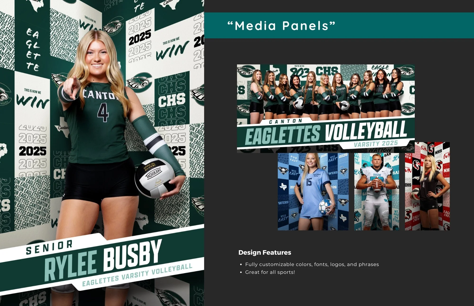 Media Panel.jpg
