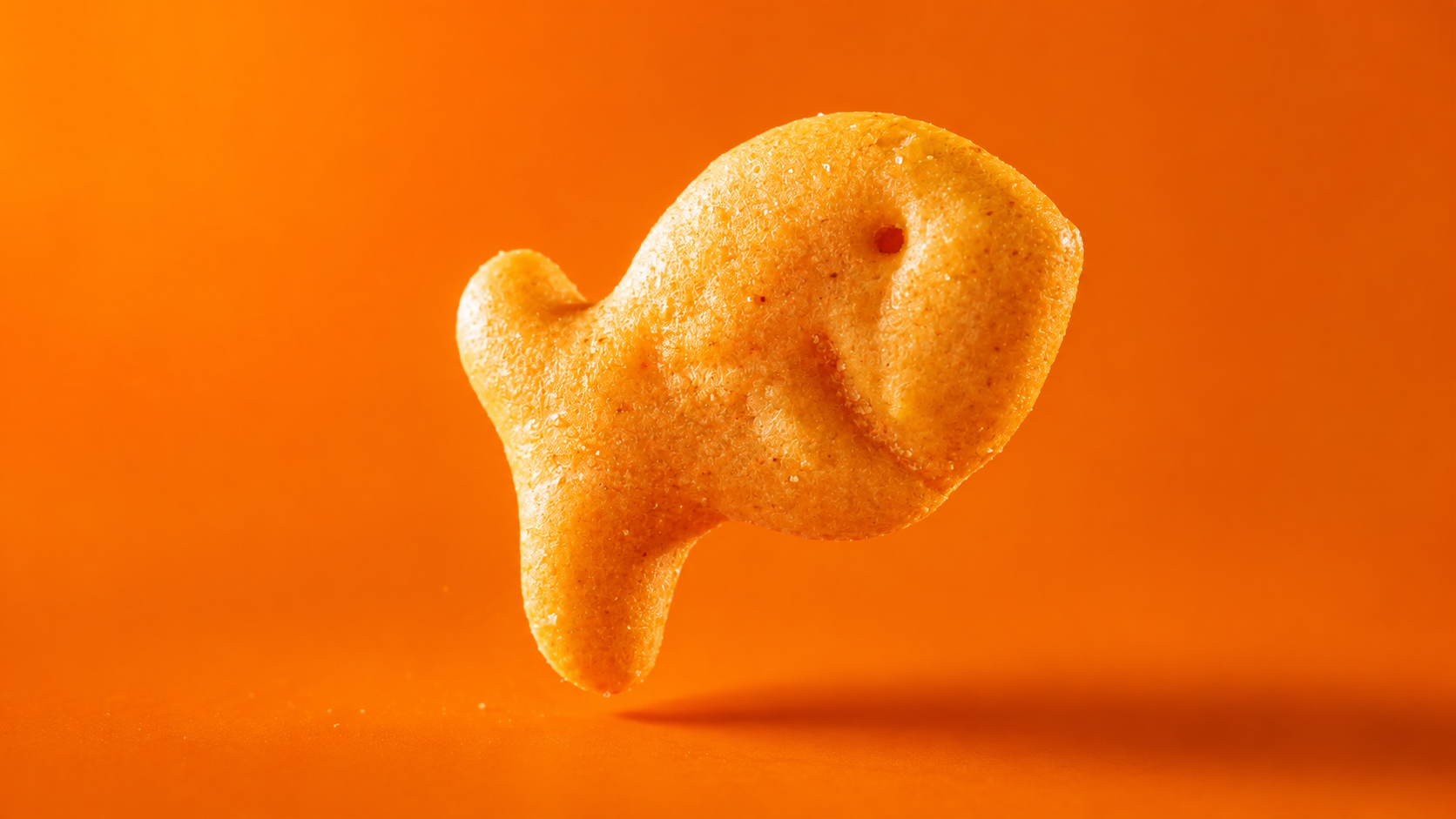 Goldfish