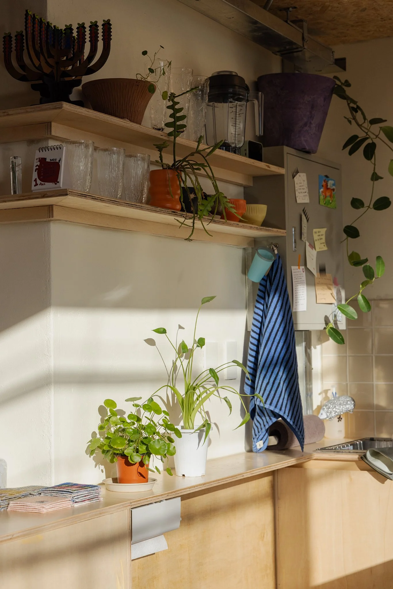 0C5A4134 복사.jpg