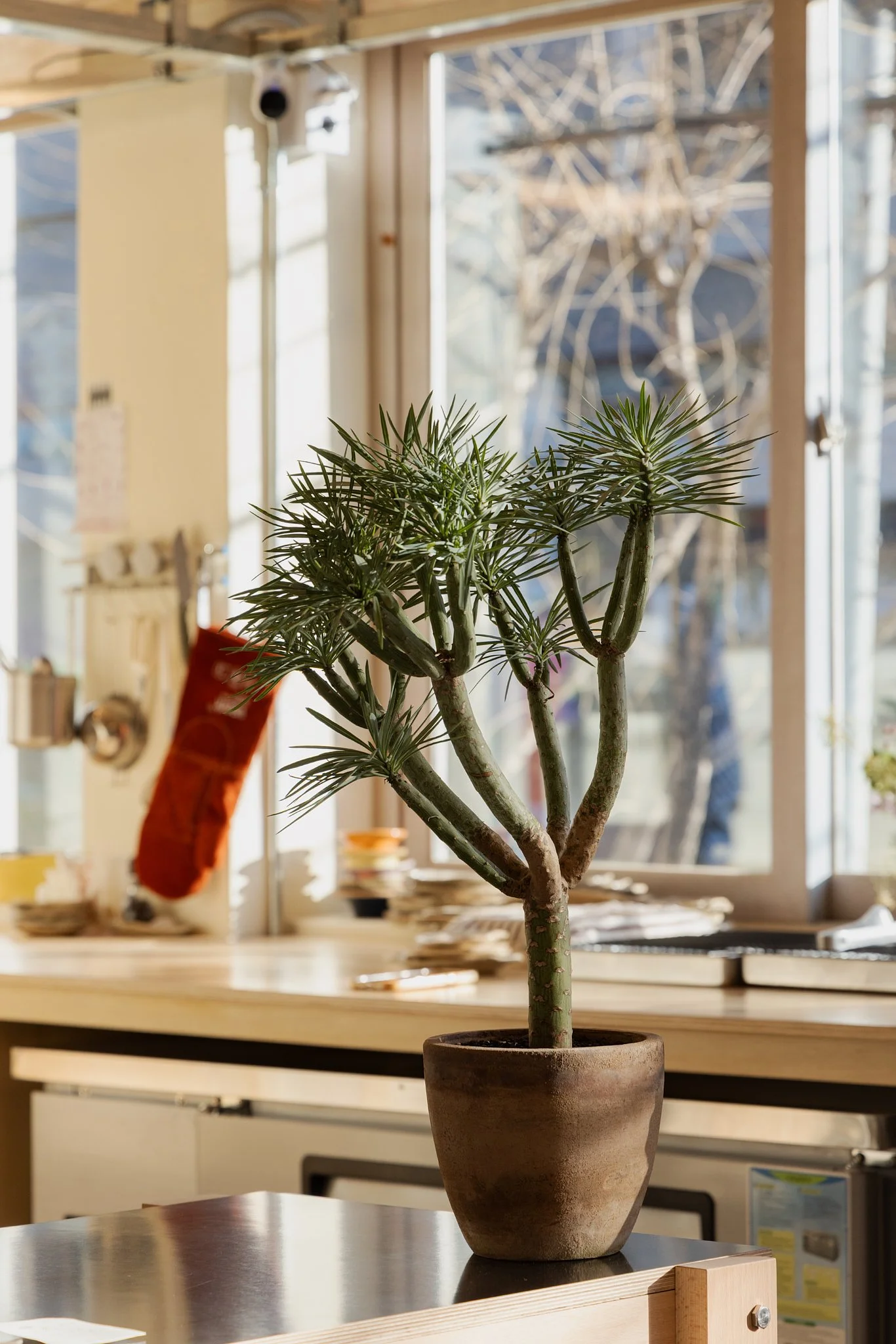 0C5A4125 복사.jpg