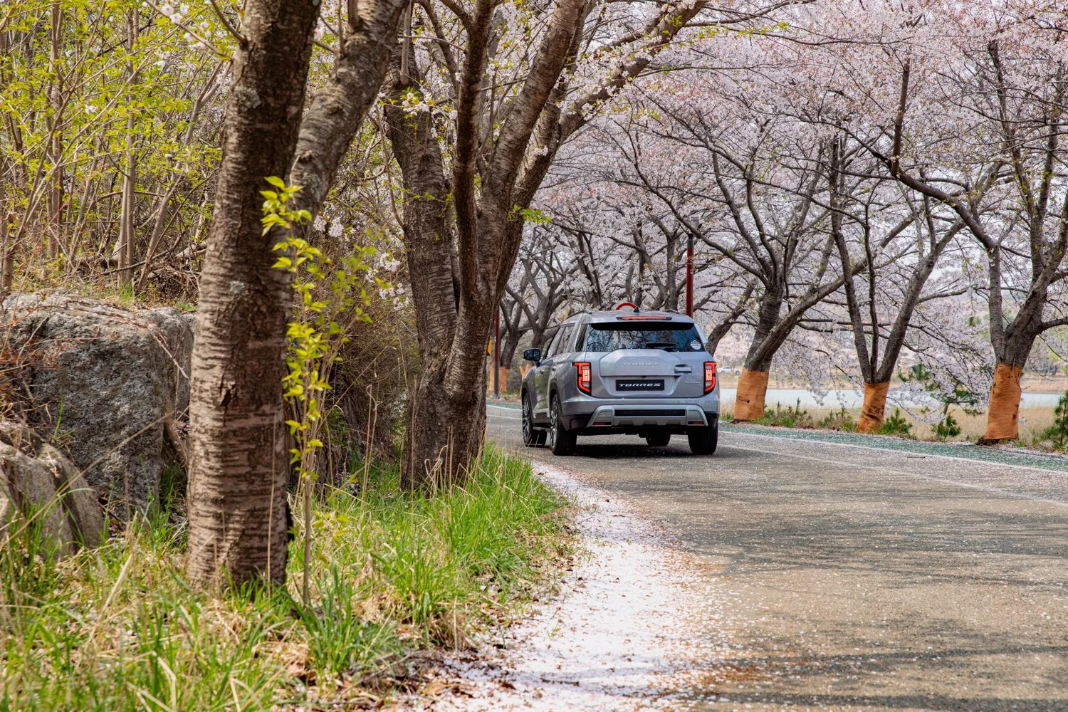 230407_쌍용_5059 복사.jpg