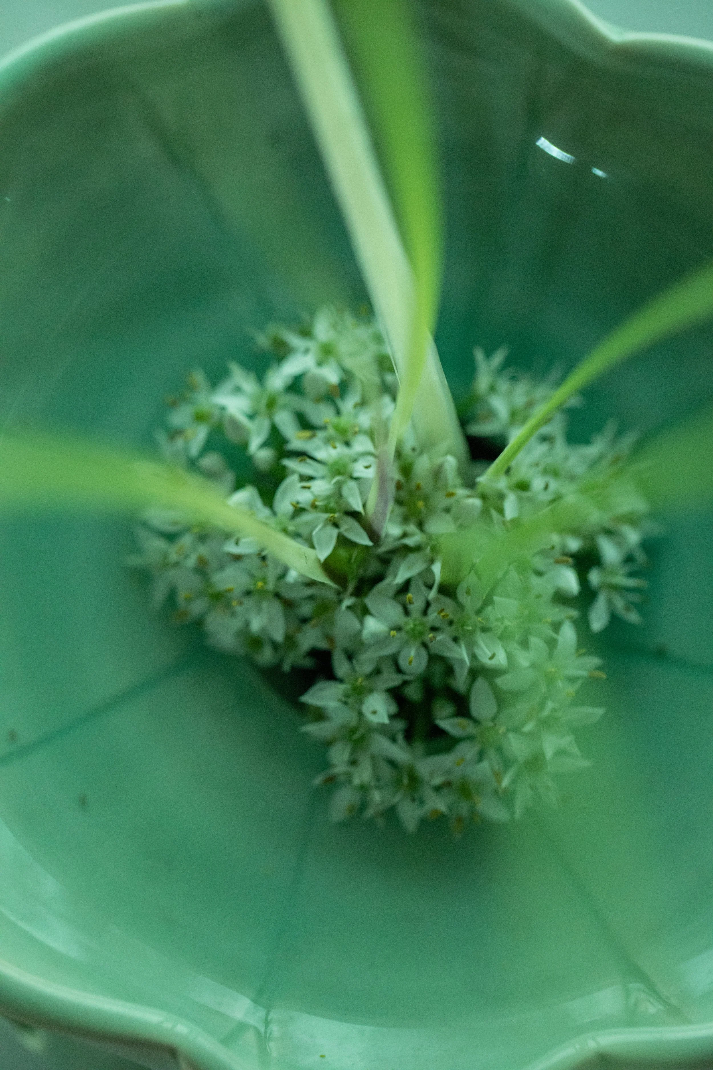 2R7A7732 복사.jpg