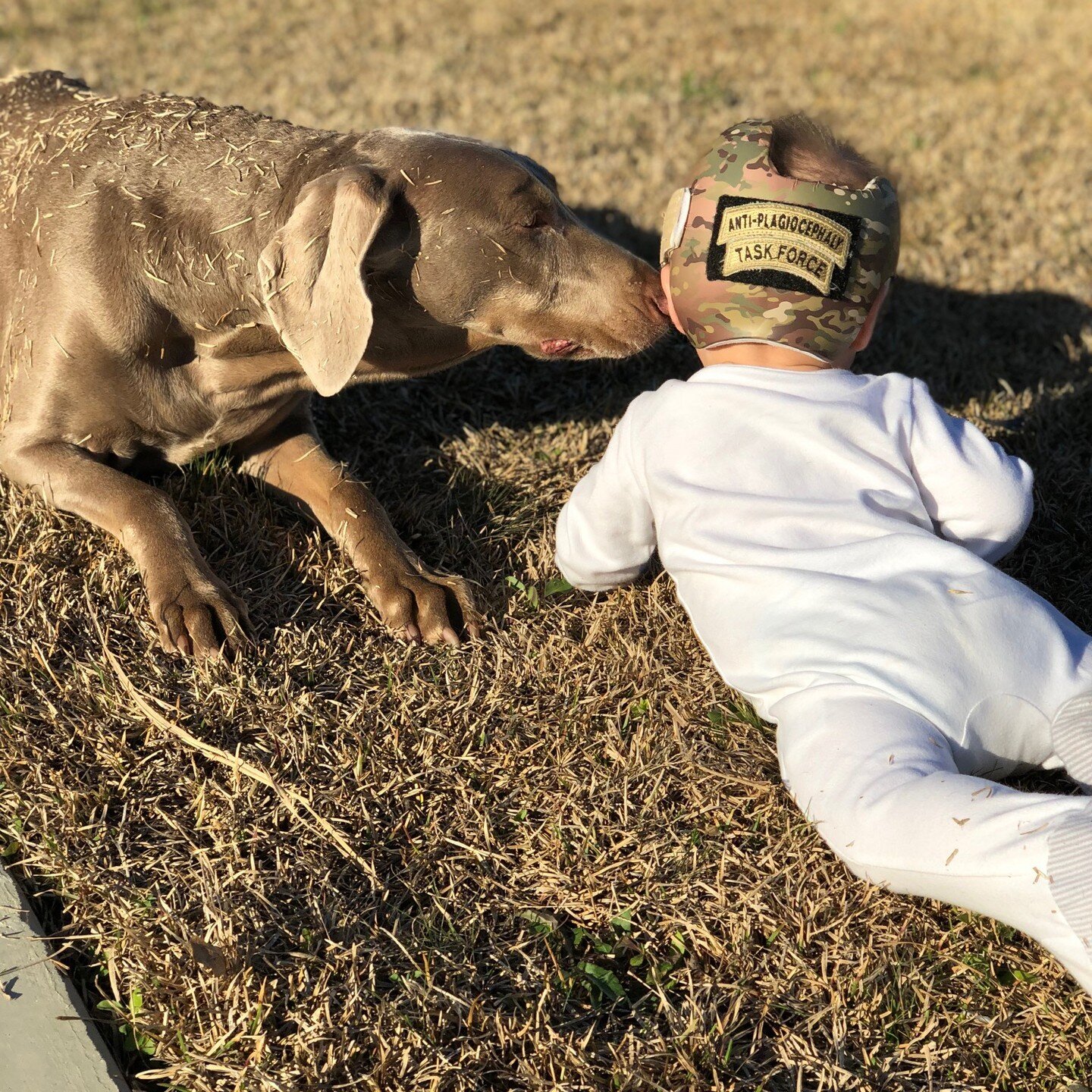 Calling all dads! Official MultiCam&reg; vinyl is not just for vehicles! This little tyke got his cranial helmet spruced up in camo and now his wee pals don't even notice his headgear!

What would YOU wrap? You can purchase the amount of vinyl you ne