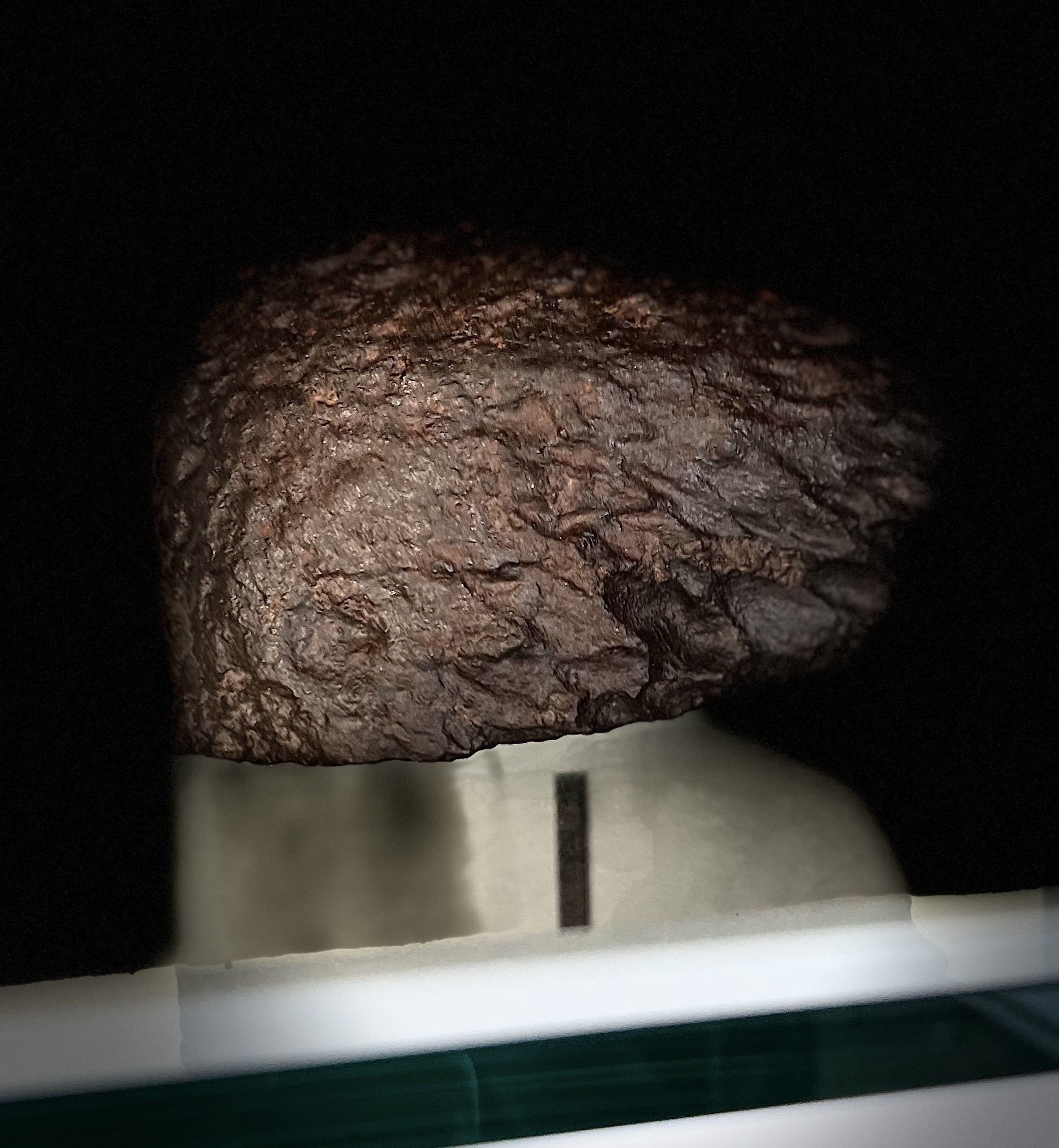 NWA 14885 Meteorite Horizontal View