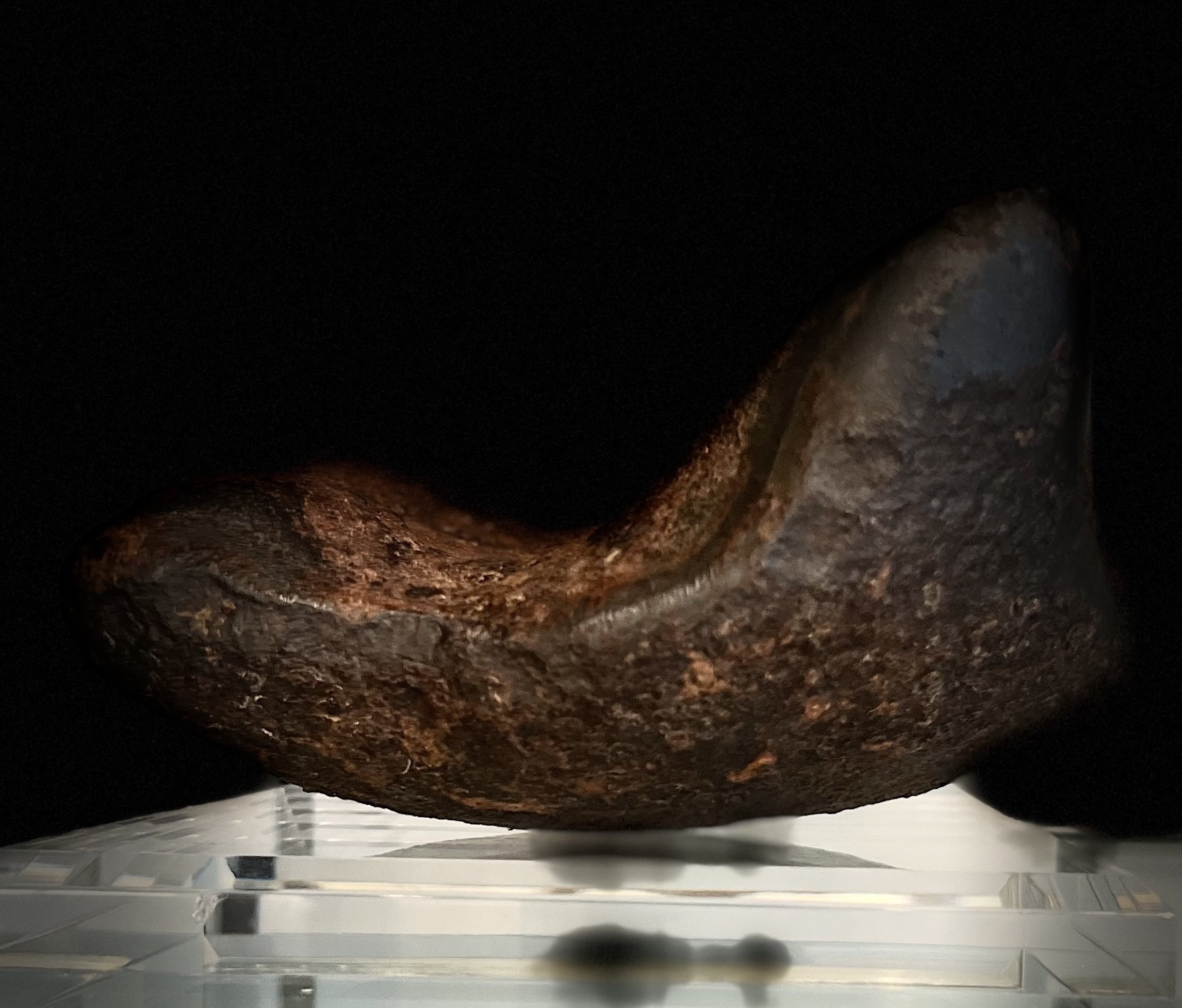 Iron Meteorite Shield facing up