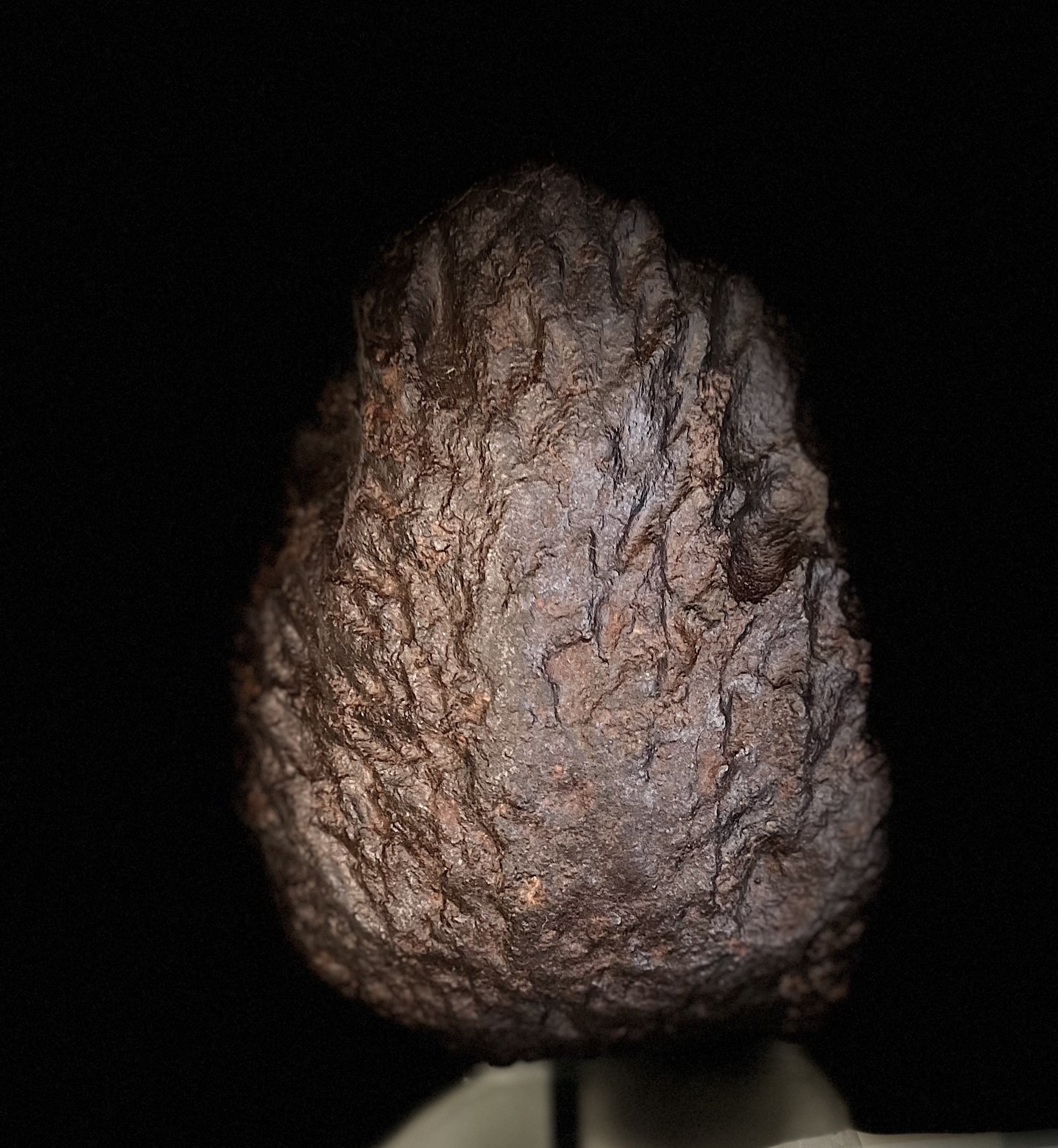 NWA 14885 Meteorite Vertical View