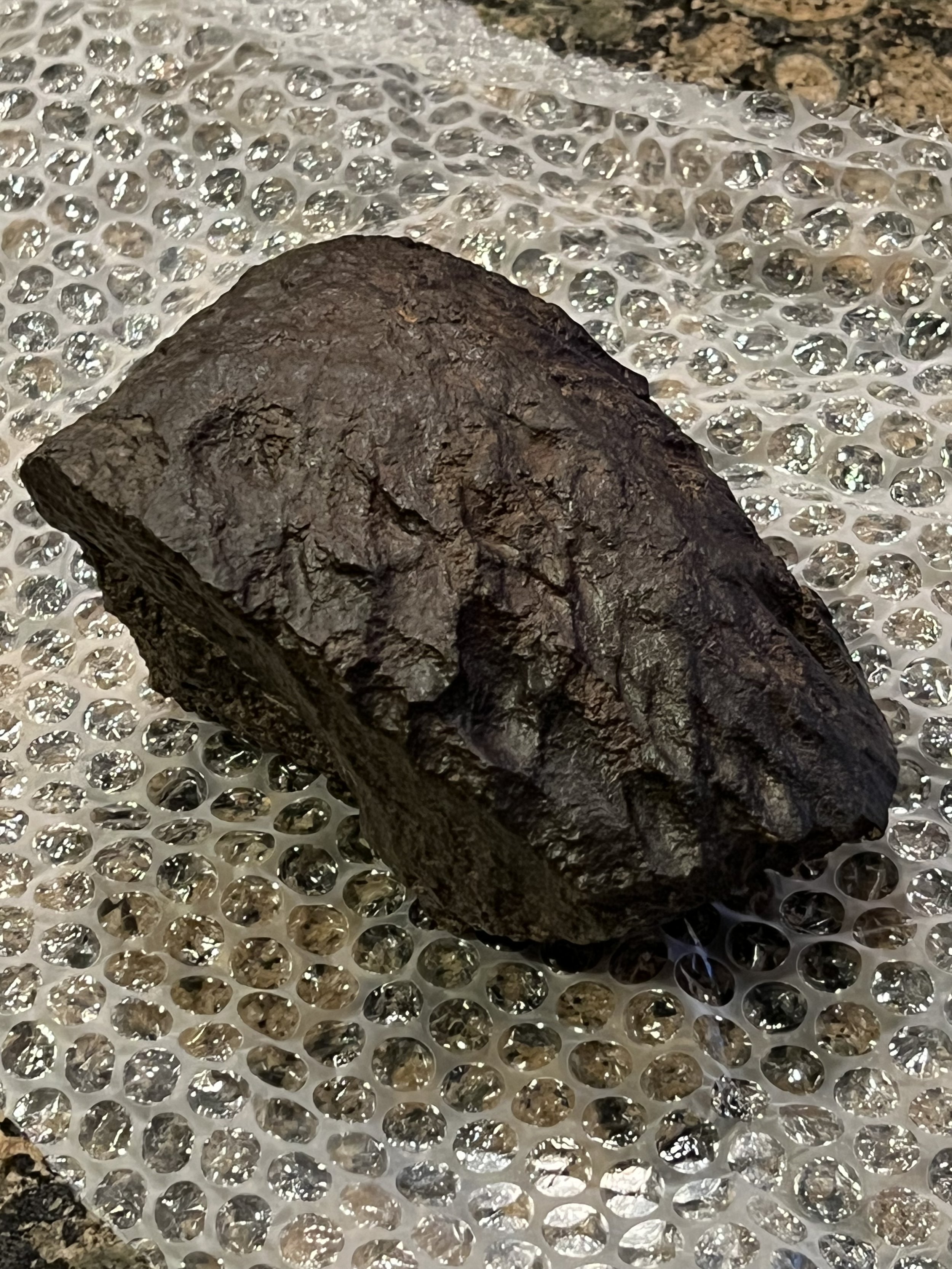 NWA 14885 Meteorite Side View