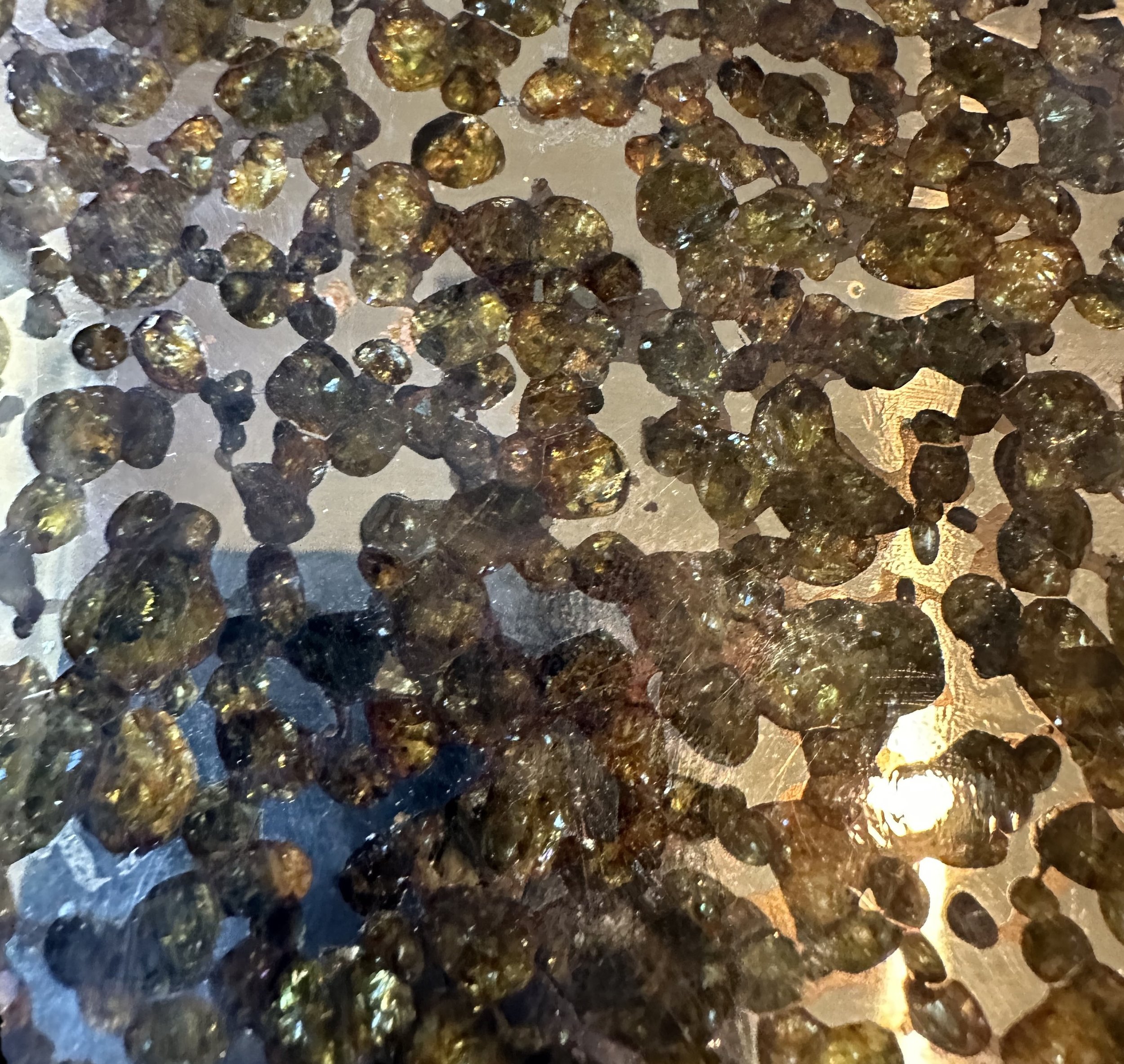Thiel Mountains Pallasite Meteorite Slice Closeup