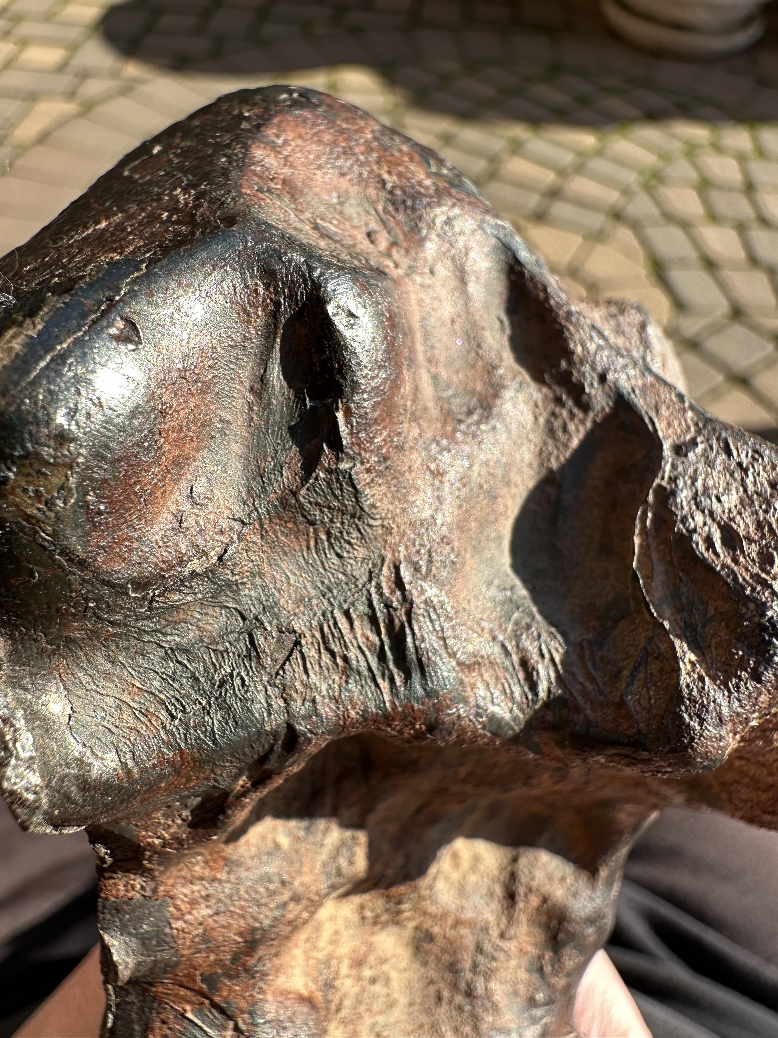 Taza Iron meteorite flow lines, fusion crust