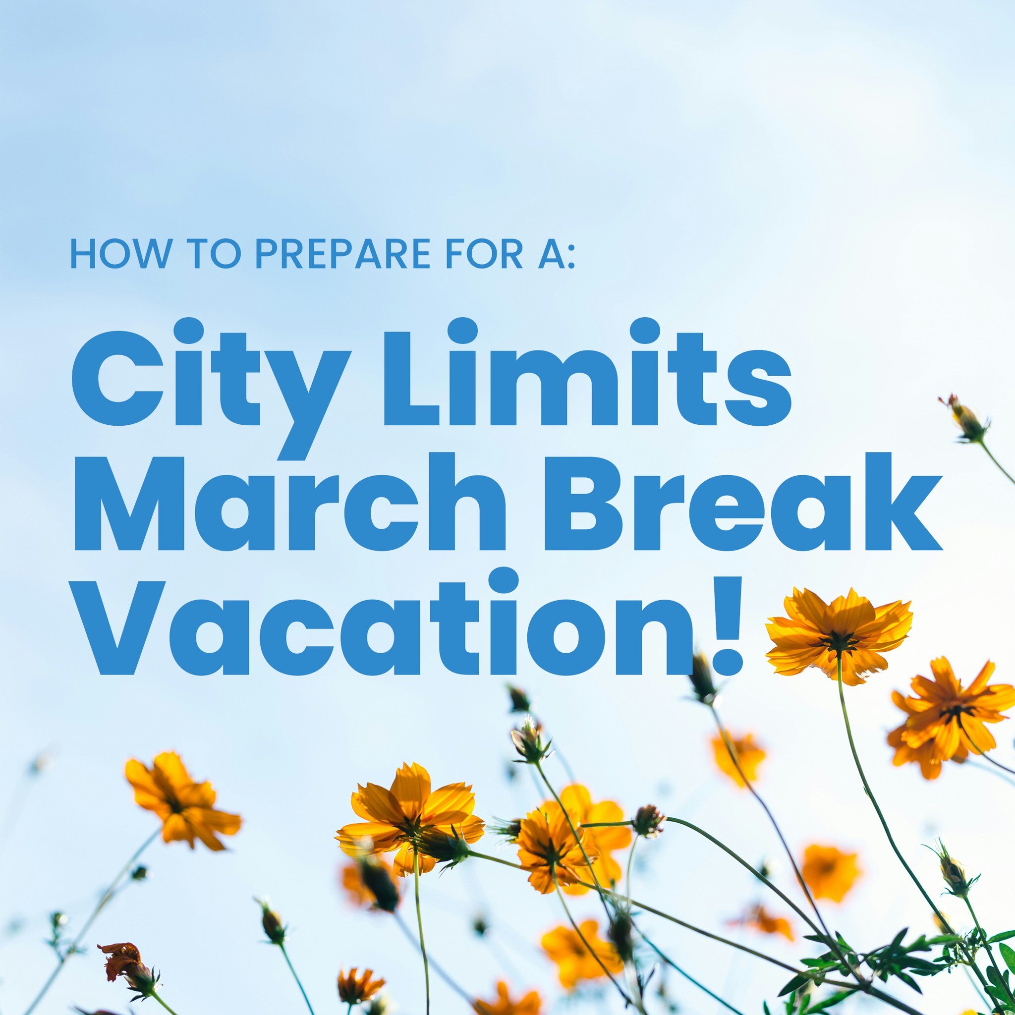 March Break Vacation starts tomorrow! Here are some tips to prepare your pup for a successful vacation 🏝.

🐾 Make sure all your pup's vaccines are up to date on their profile! We require all of our guests to be fully vaccinated at a minimum of 7 da