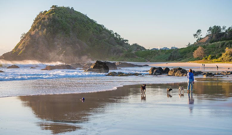  via portmacquarieinfo.com.au 