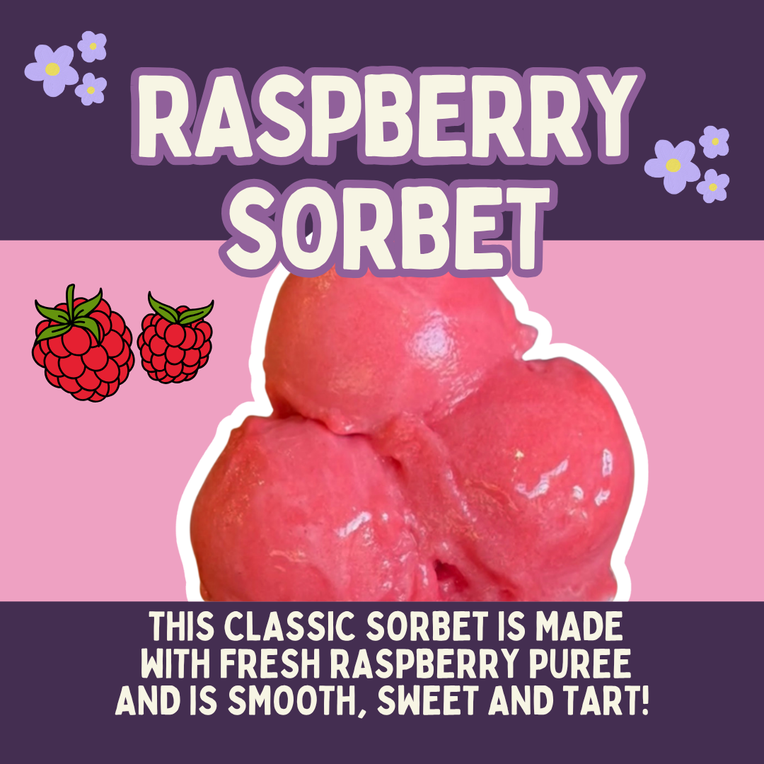 Raspberry Sorbet (Vegan and Dairy Free and Gluten Free) 