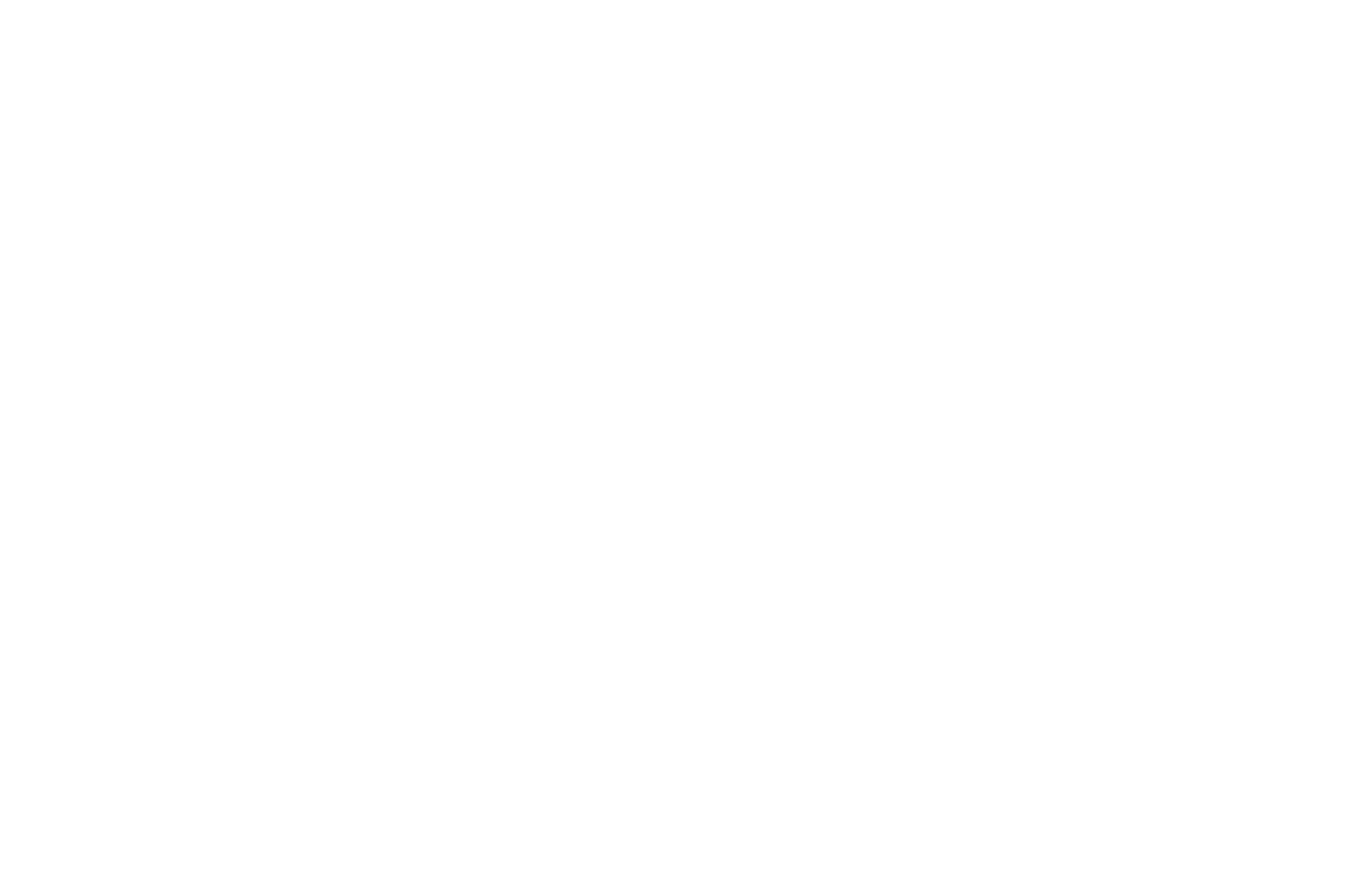 Winner - Best Use of Holiday Christmas - Los Angeles 48 Hour Film Holiday Project 2015 (white).png