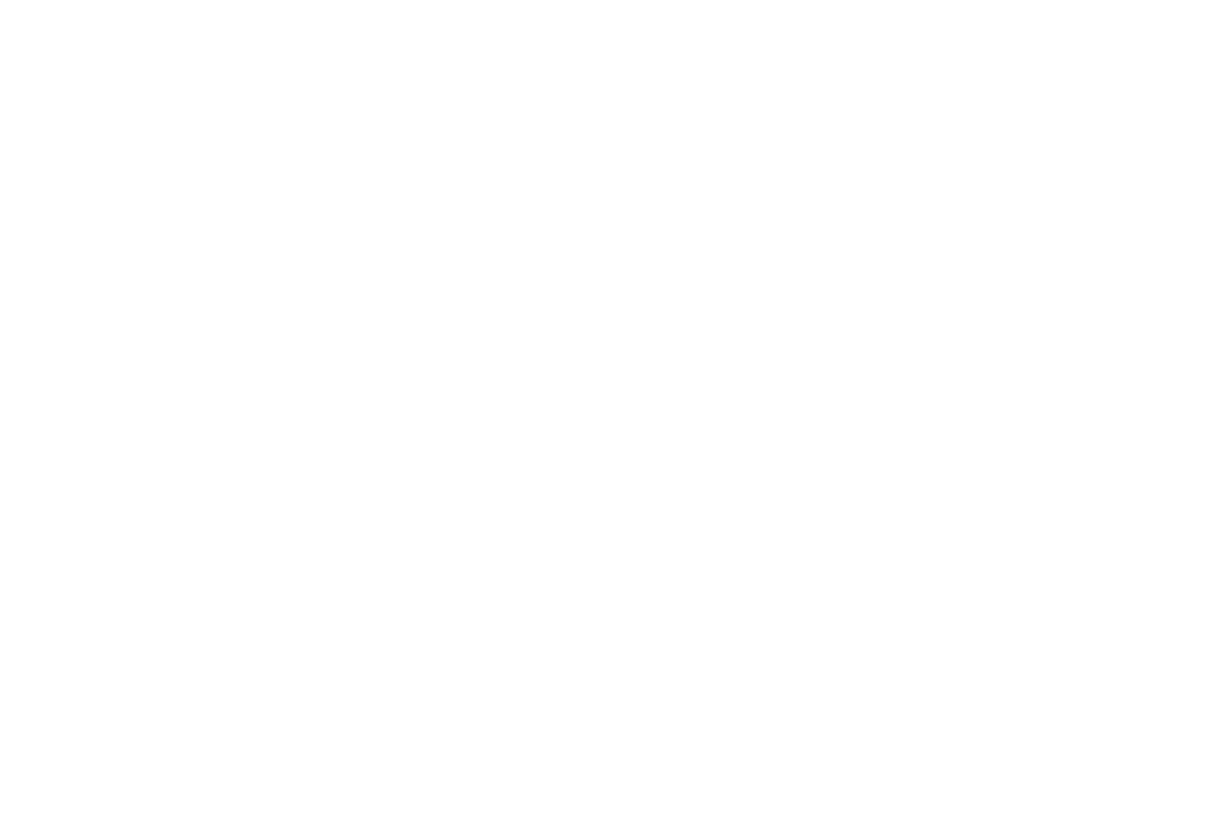 Runner-Up - Best Musical Score - Los Angeles 48 Hour Film Project 2017 (white).png