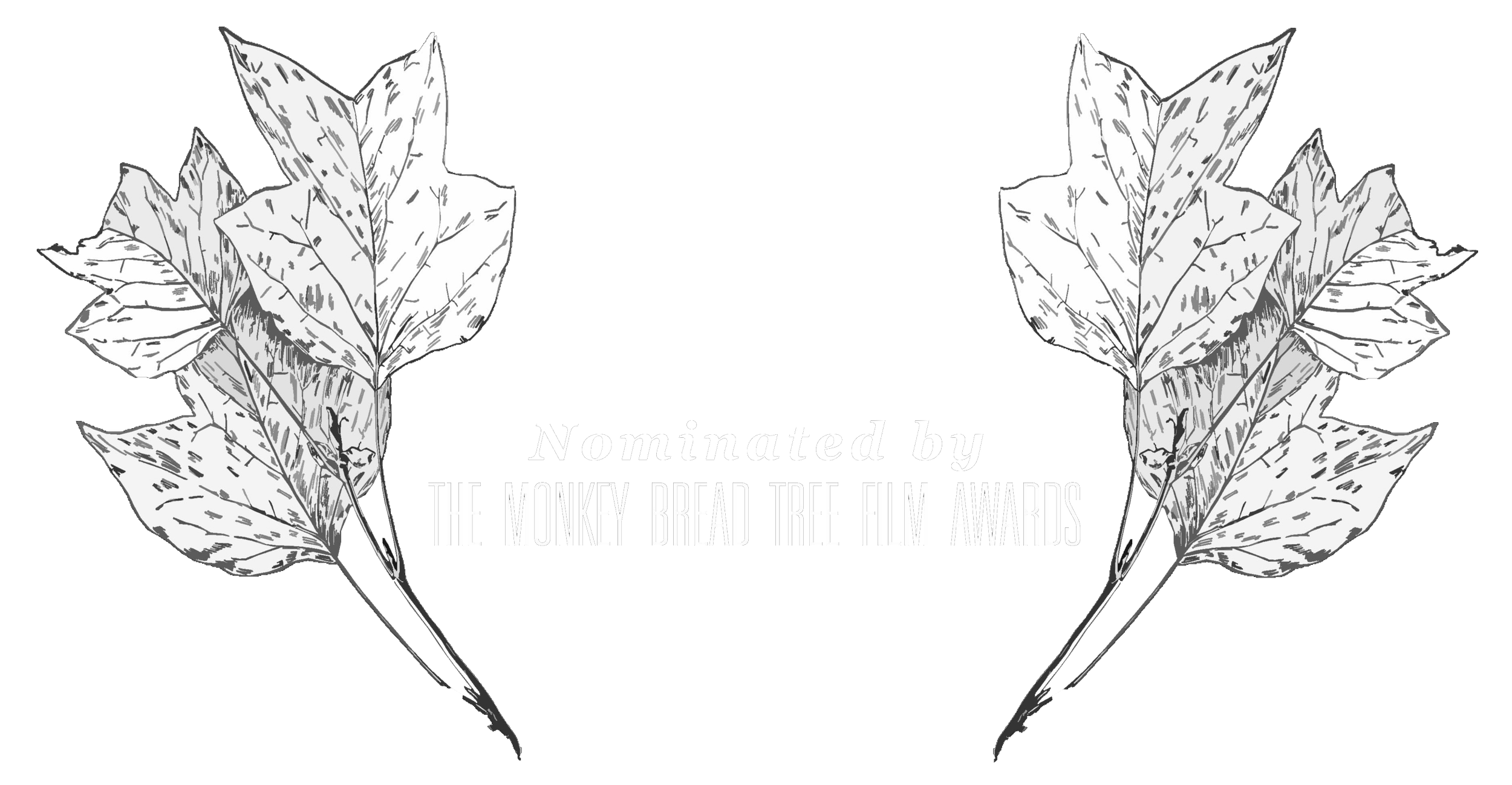 MBTFA 2024 - NOMINEE - Best Cinematography.png