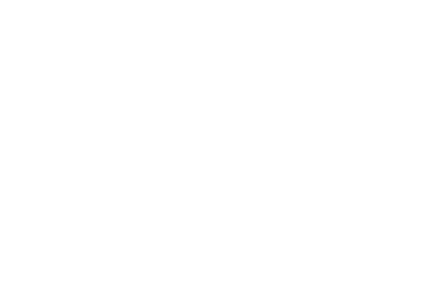 LA48HFP 2025 - NOMINEE - Best Use of Genre (white).png