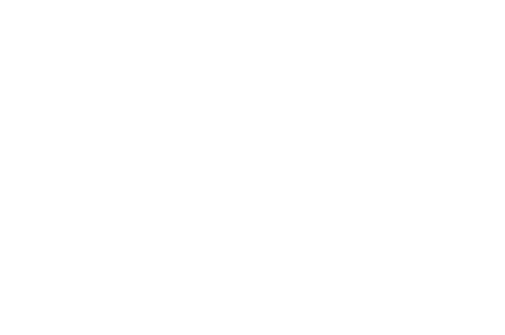 Feel the Reel International Film Festival 2025 - WINNER - BEST ORIGINAL SCORE (white).png