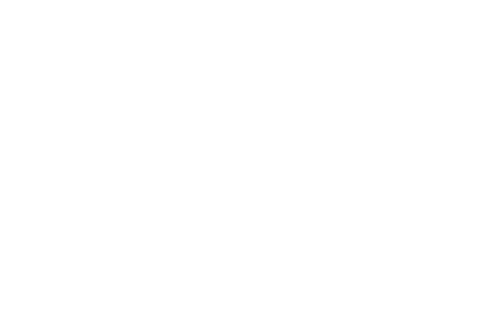 Nominee - Best Cinematography - Los Angeles 48 Hour Film Holiday Project 2015 (white).png