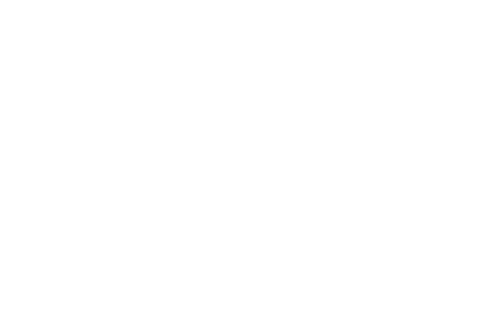 CDFF 2019 Best Comedy Winner Laurel.png