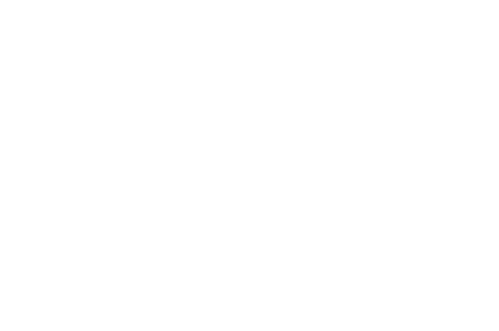 WCFF Atlanta 2019 Best Mockumentary Nomination Laurel.png