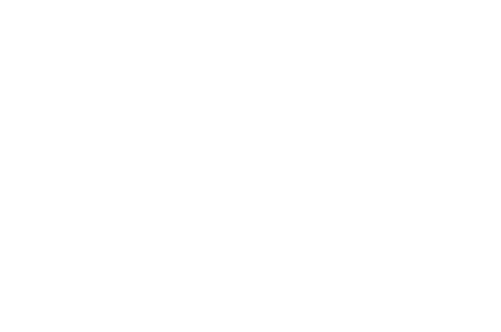 HCFF 2019 Best Mockumentary Winner Laurel.png