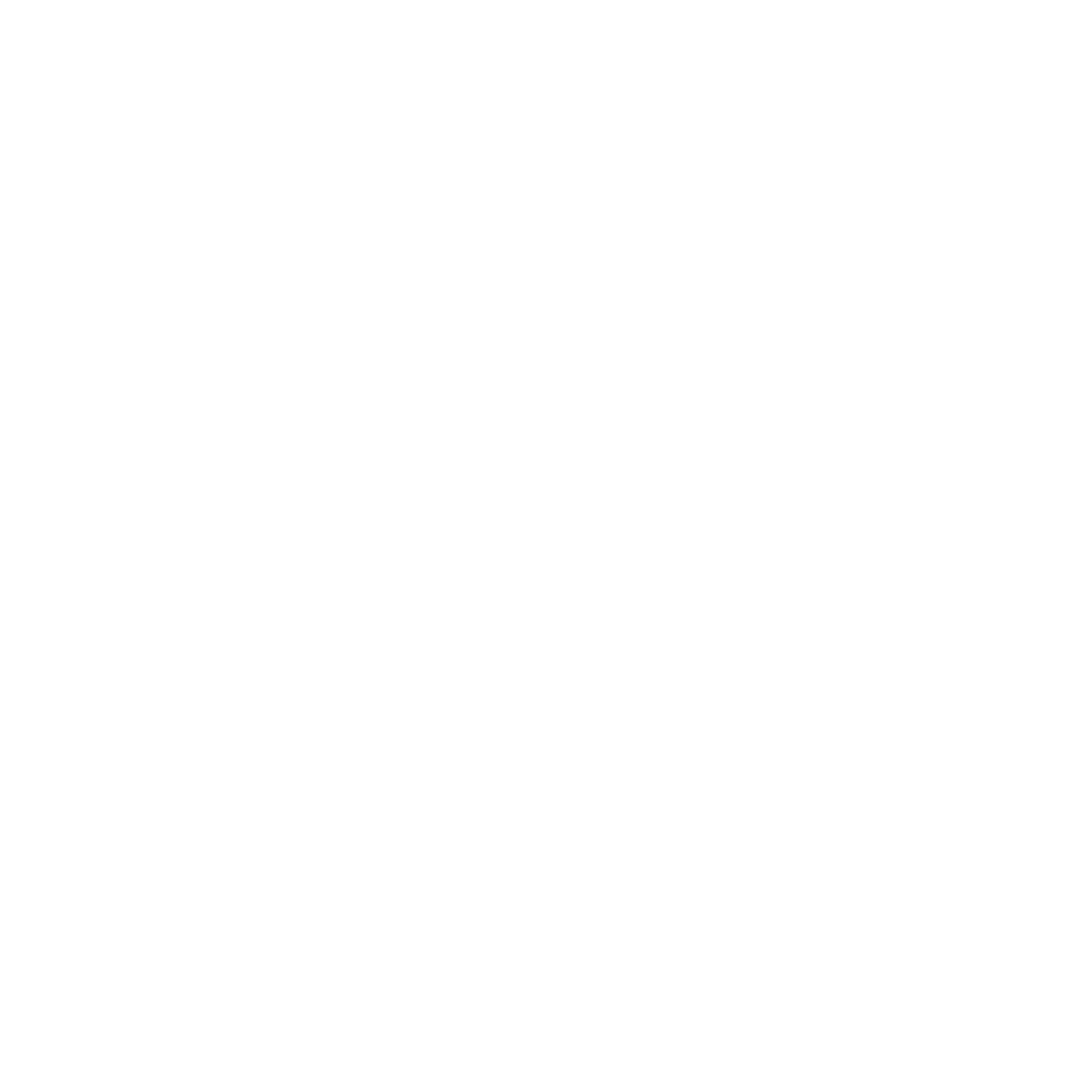 ACFF Summer 2019 Logo.png