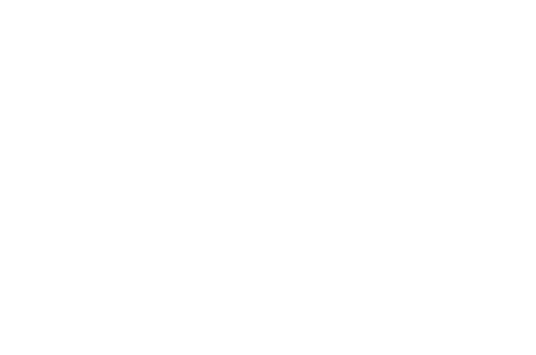 BIFF of NJ 2021 Winner Best Director (white).png