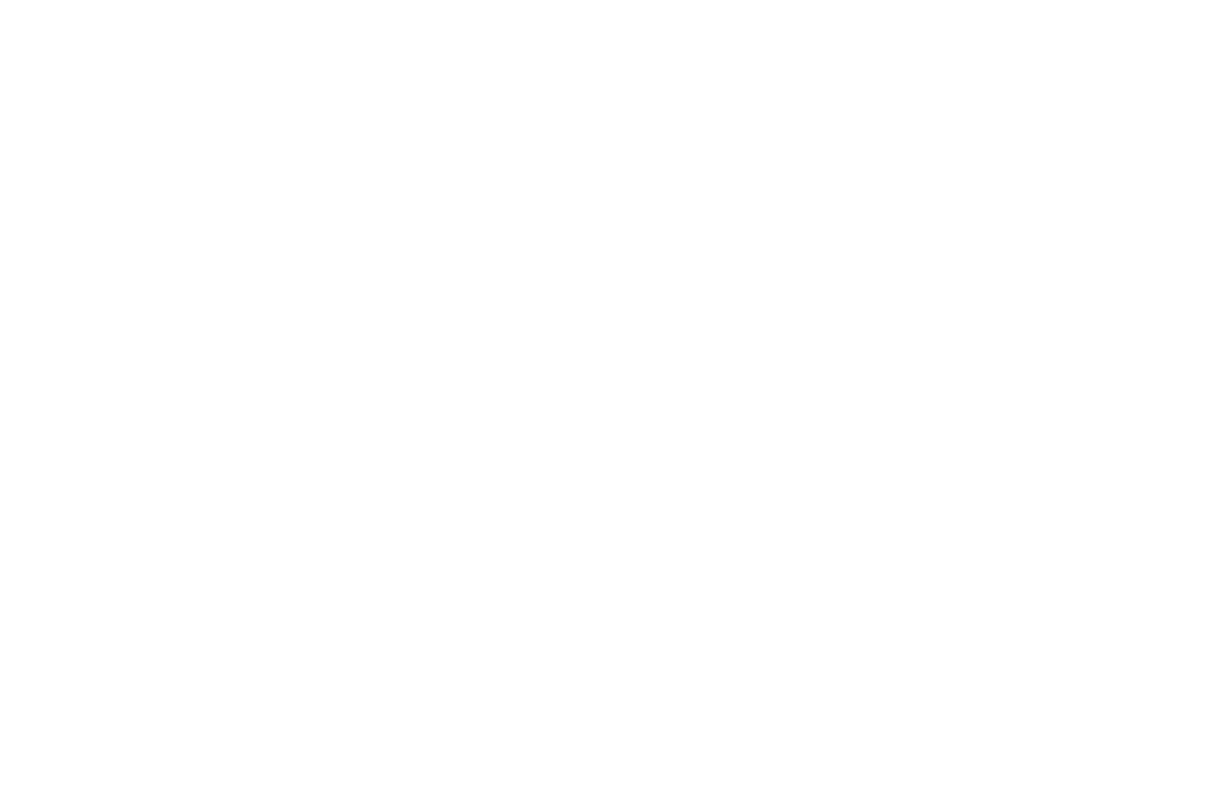 Feel the Reel International FF Nominee Best Editing (white).png