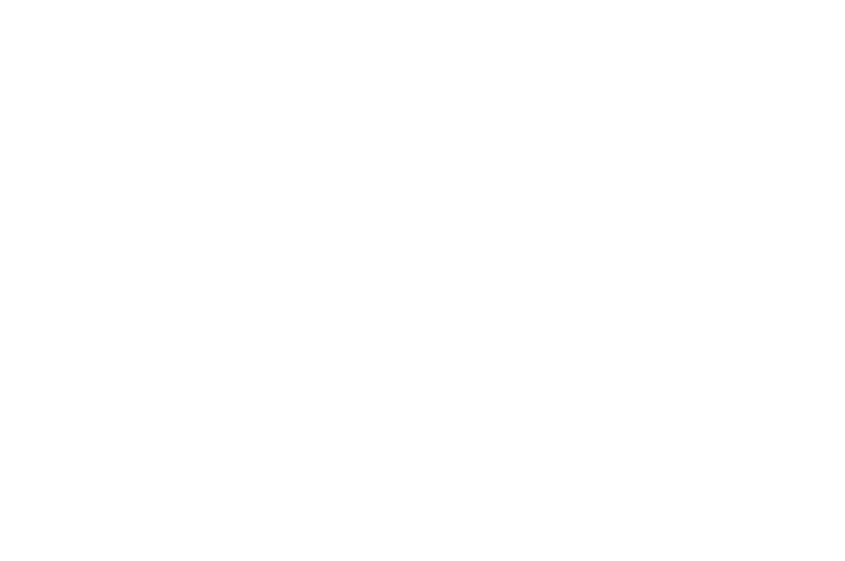 SCIFF 2024 - Official Selection (white).png
