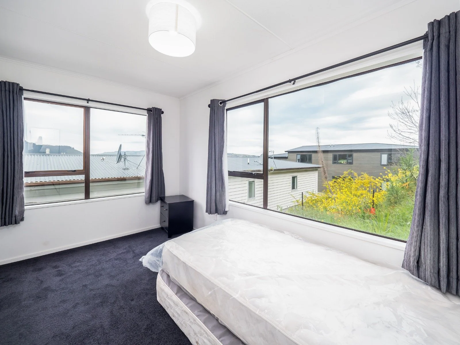 49 Canongate, Dunedin Central — Otago Flats