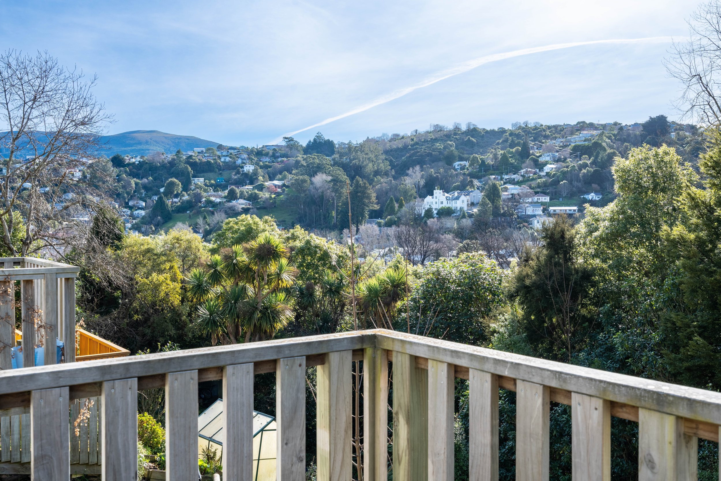 61 Opoho Rd-2.jpg