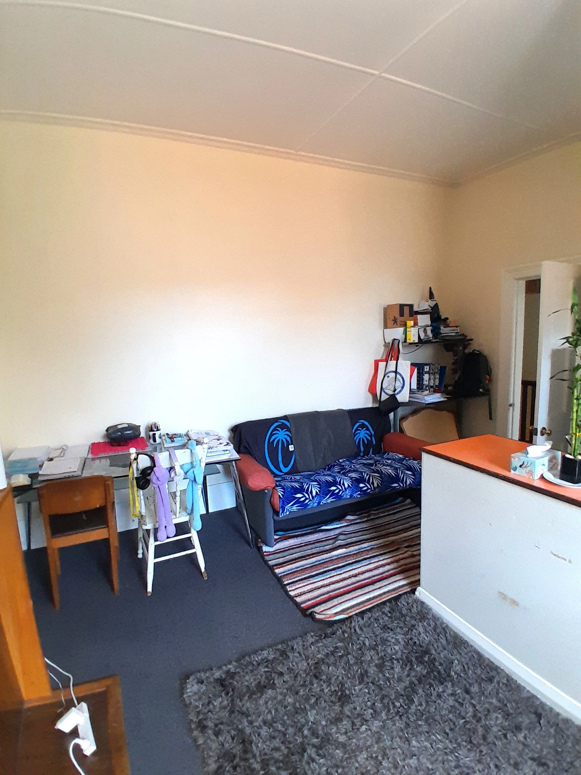 20260504_115900.jpg