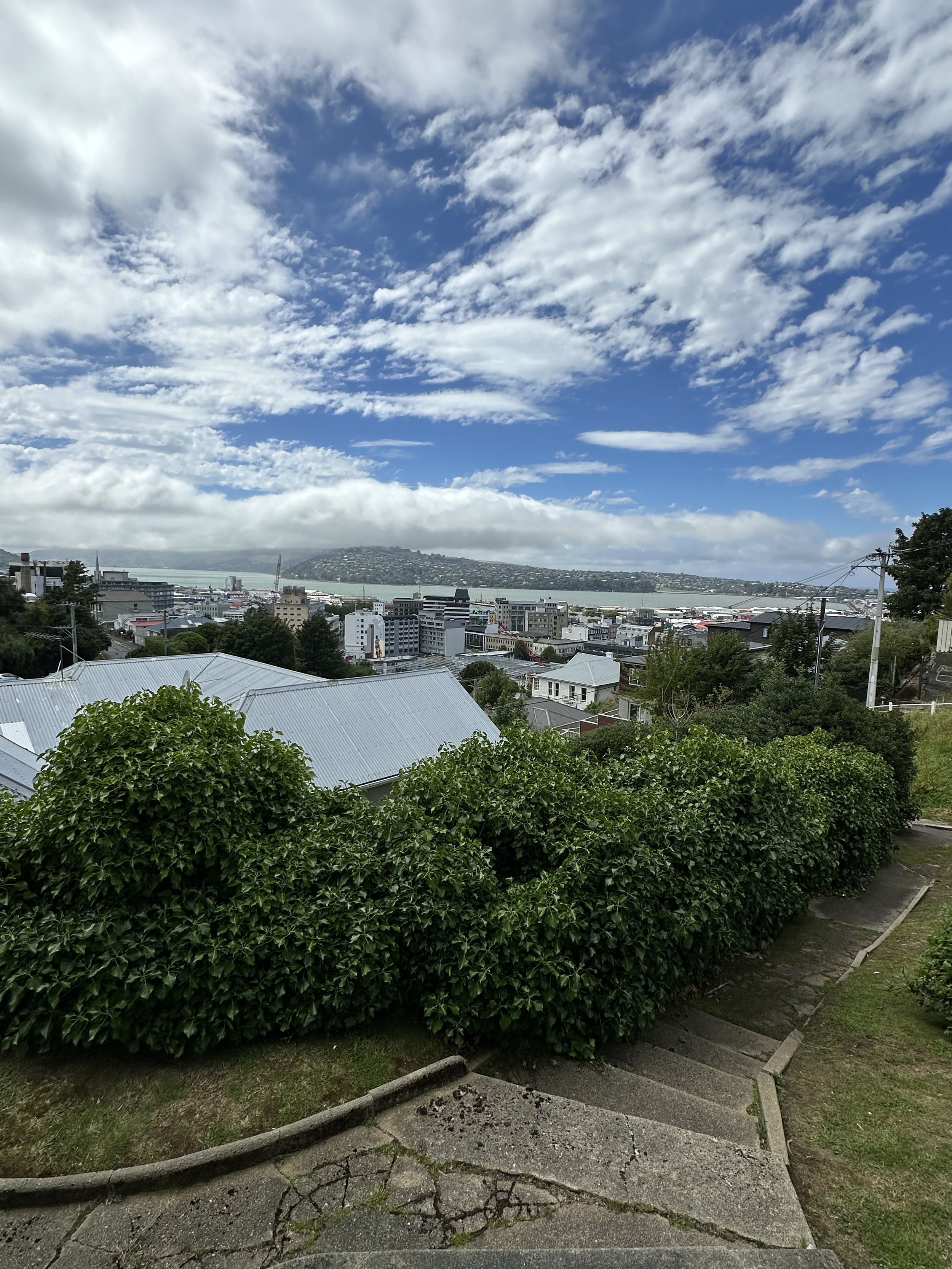 IMG_7218.jpeg