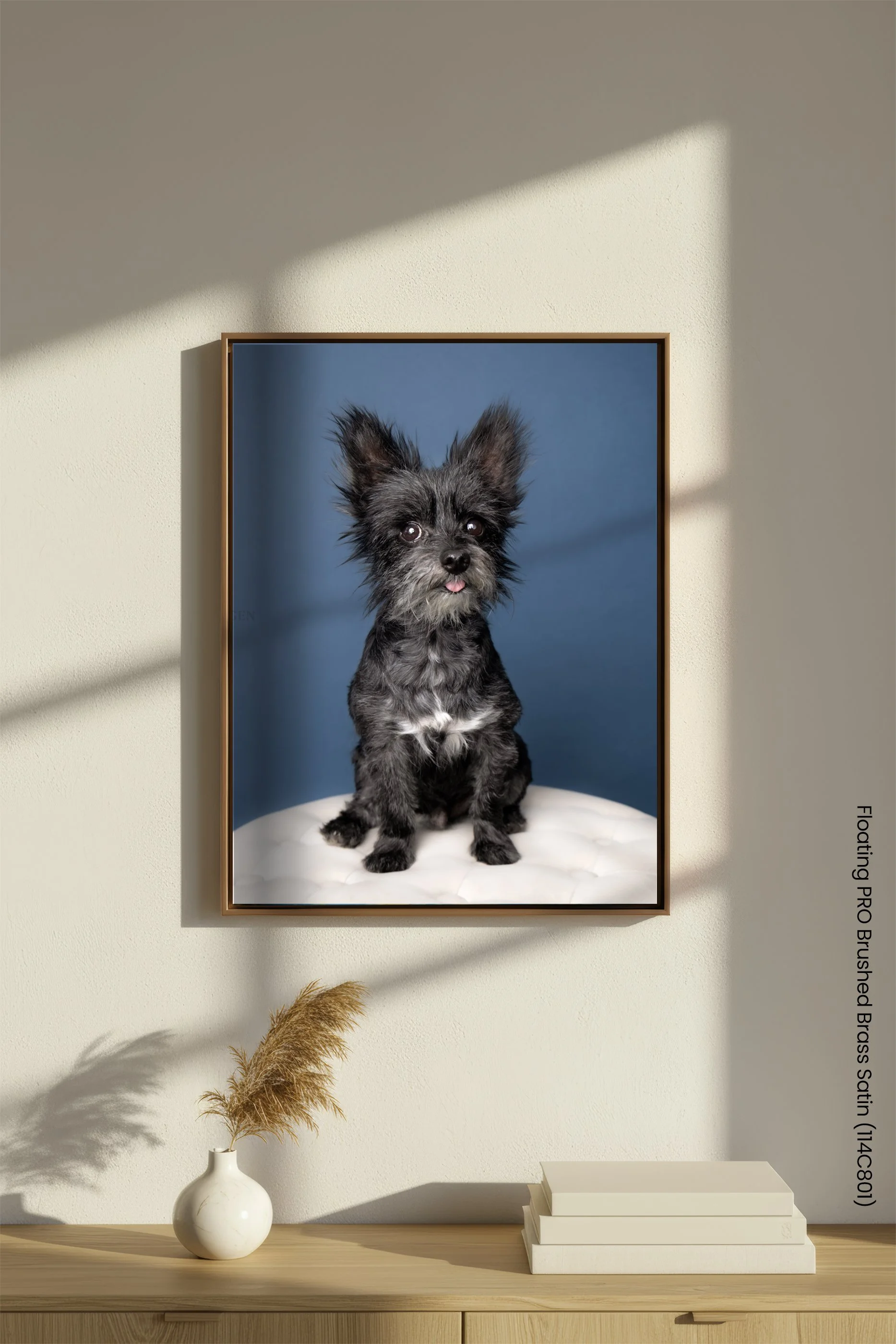 Floating_Pro_Mockup_16_Pets.jpg