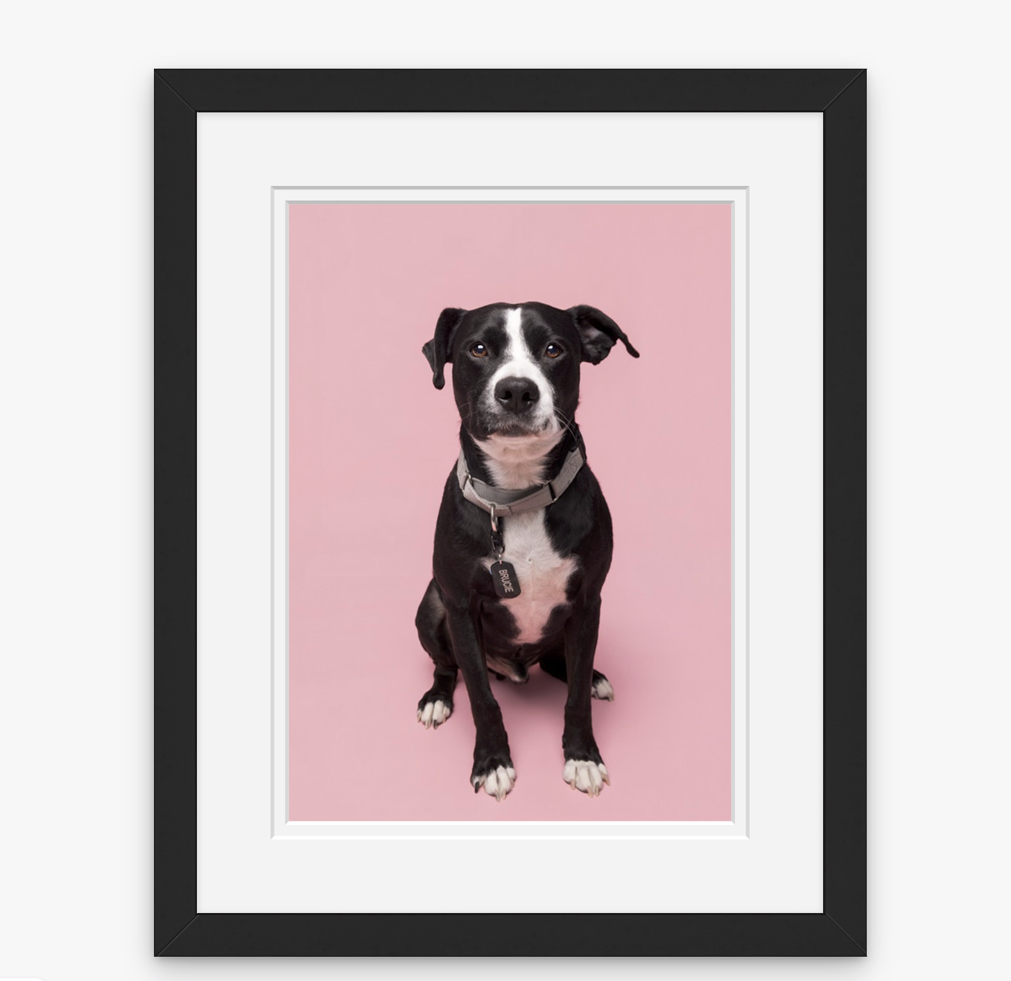 Matted Frames