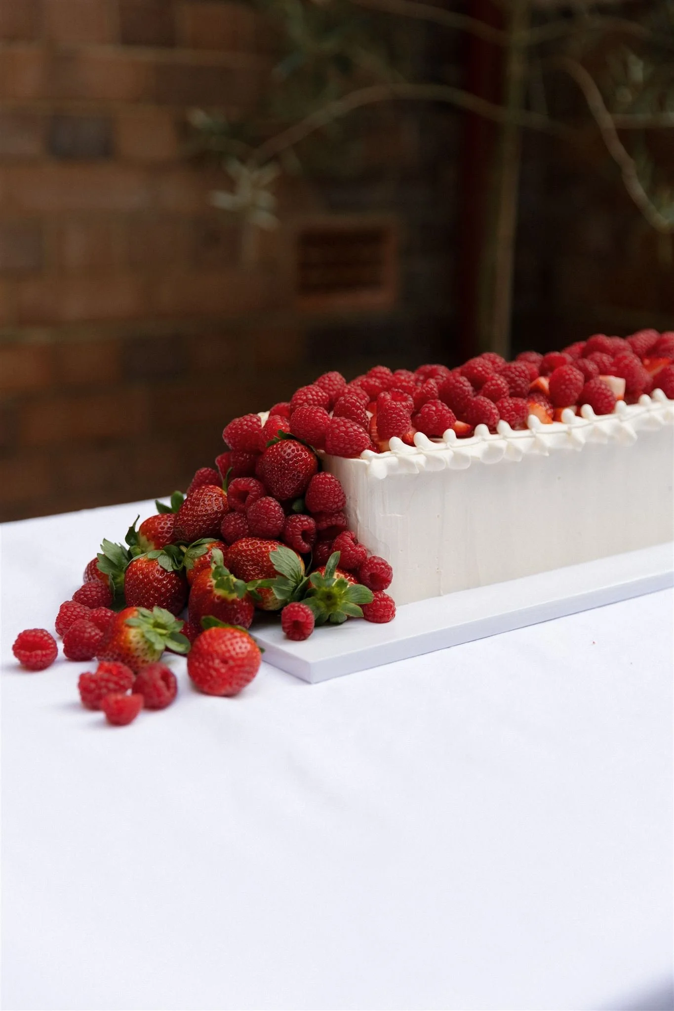 berry-long-cake.jpg
