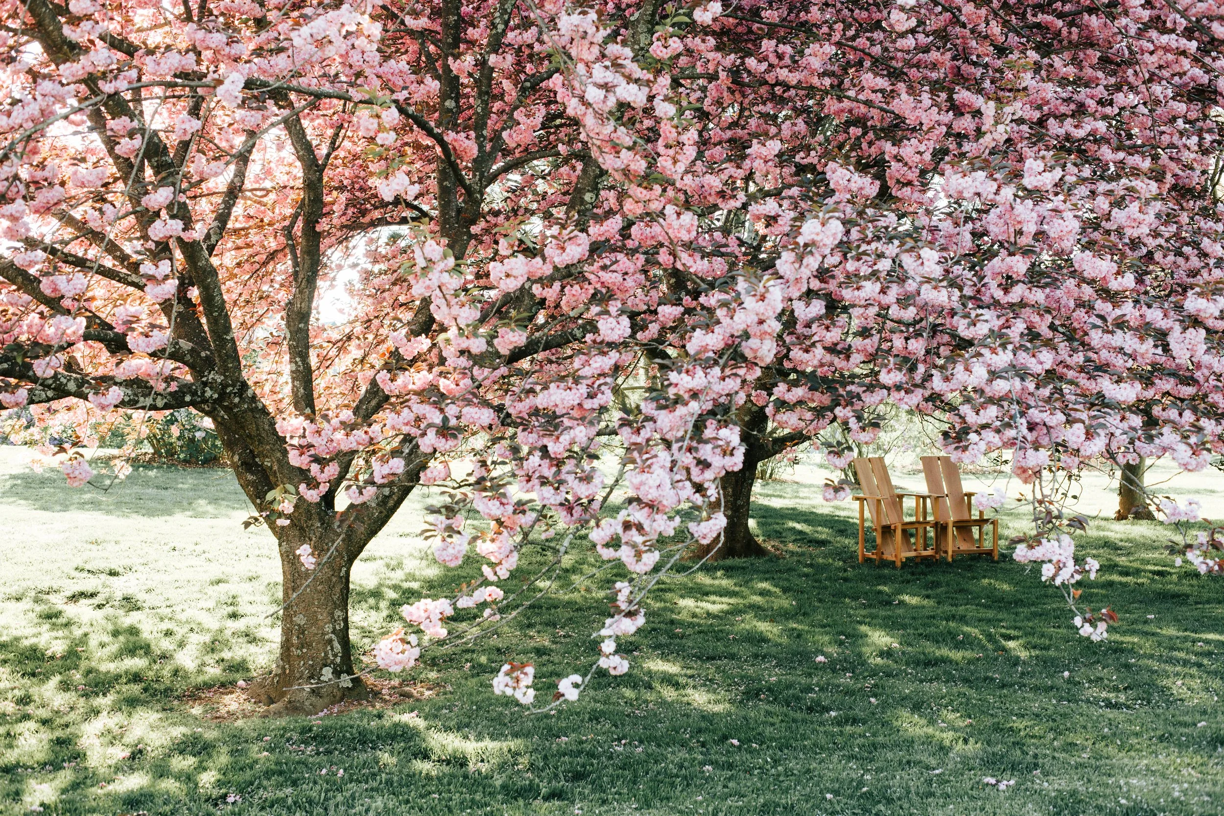 FINALLY… A GIRL MOM!