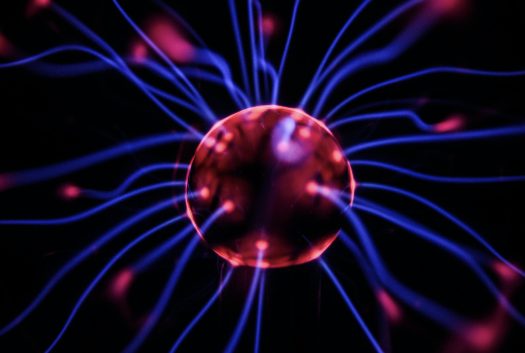 I'm a big fan of educating my practice members about improving the nervous system. Naturally this article grabbed my attention!