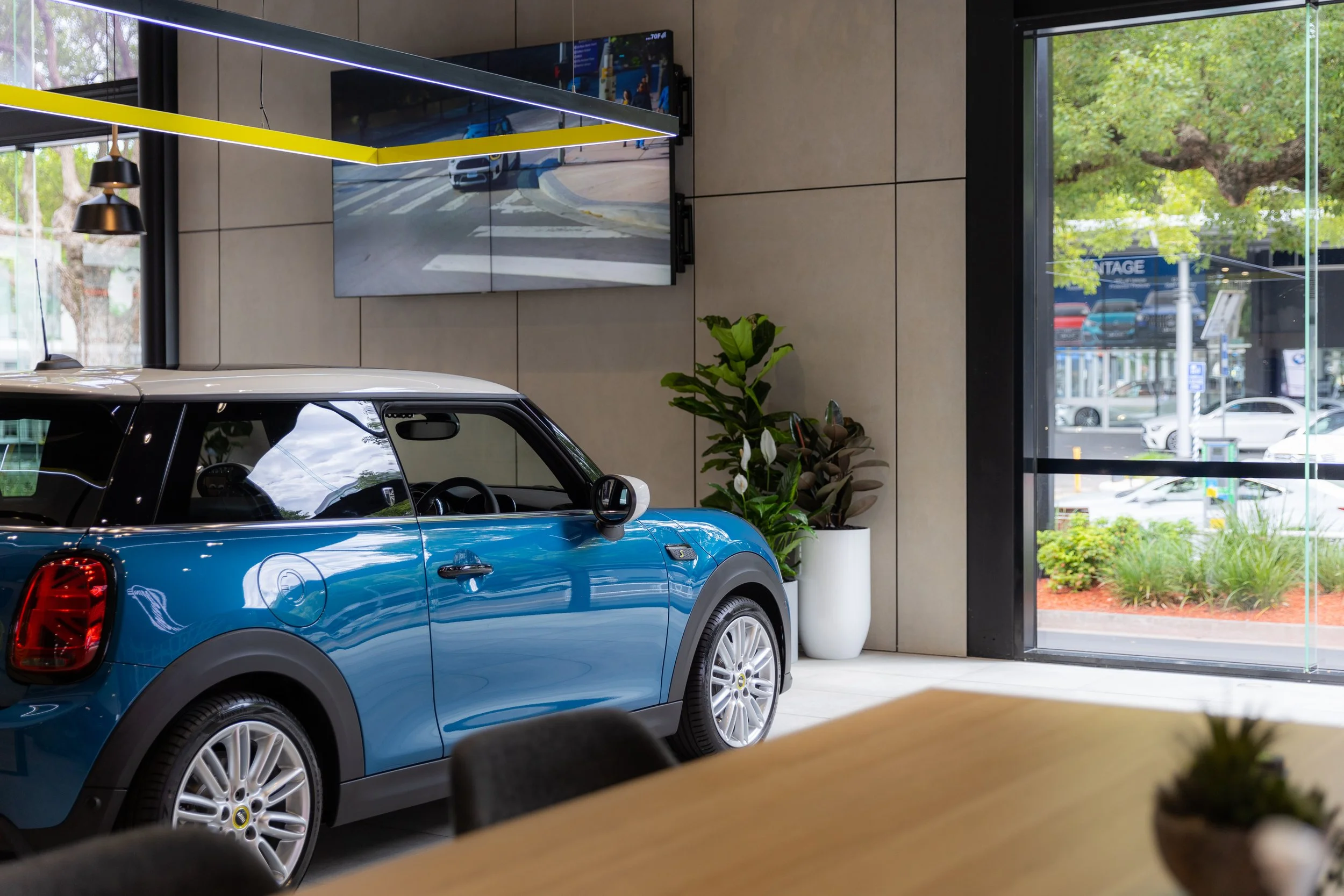 Mini (10 of 242).jpg