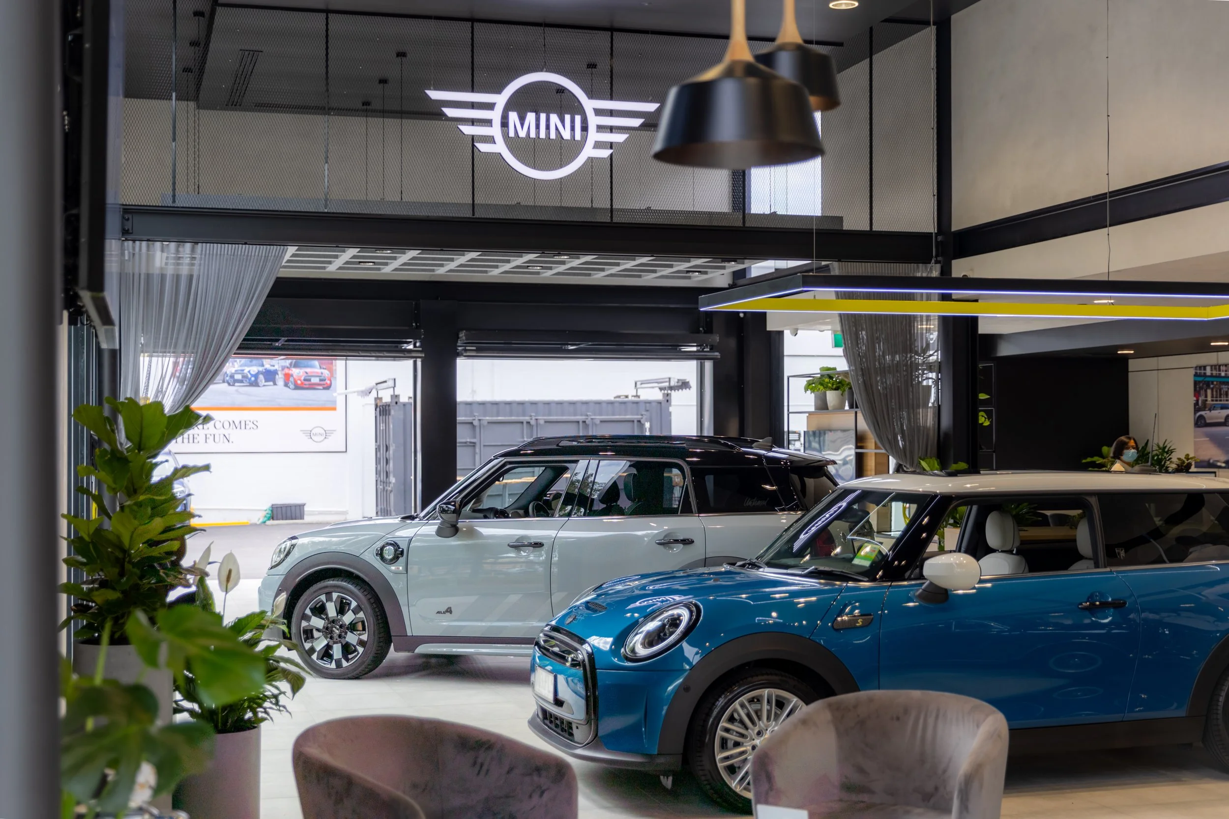 Mini (14 of 242).jpg
