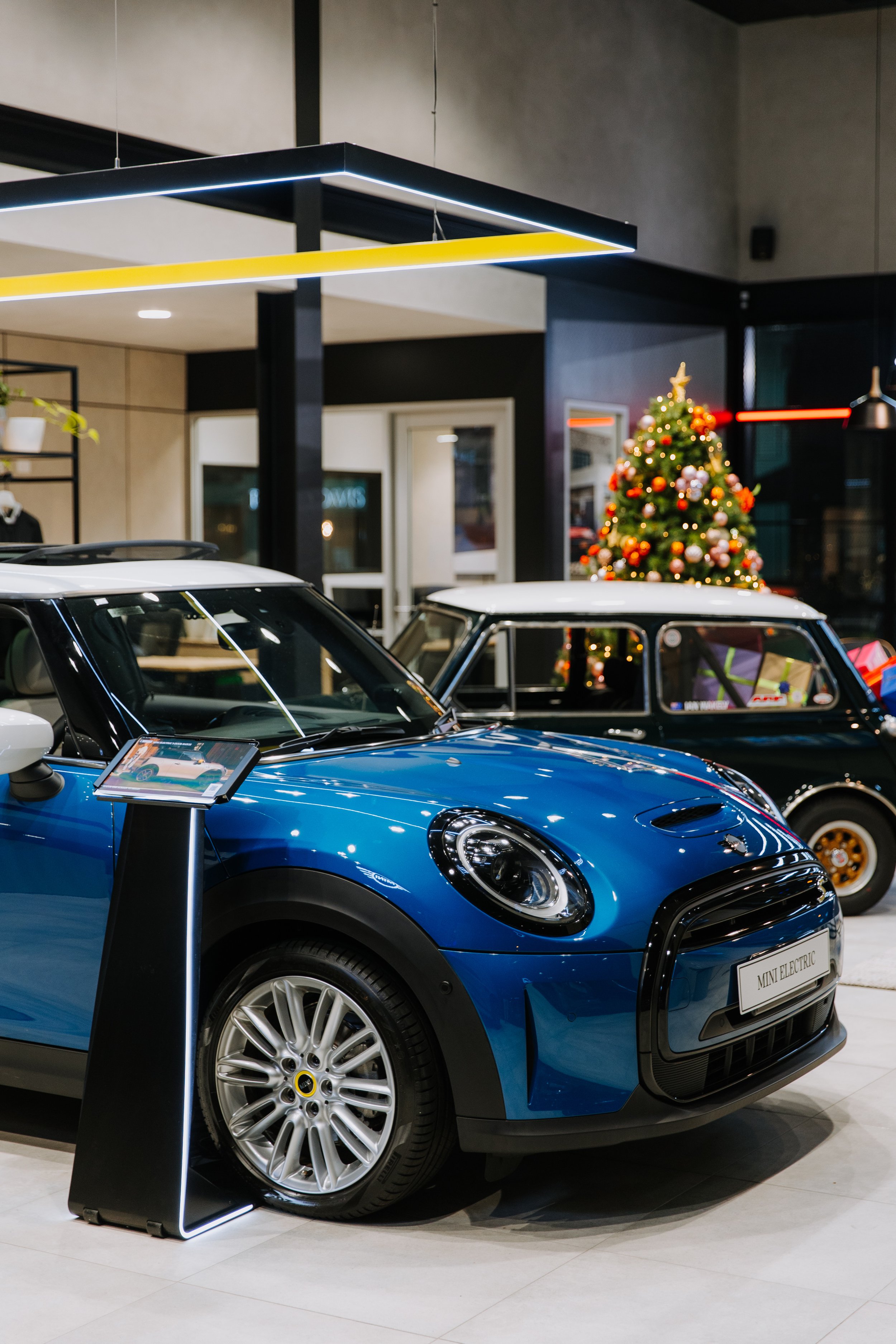 Mini (186 of 242).jpg