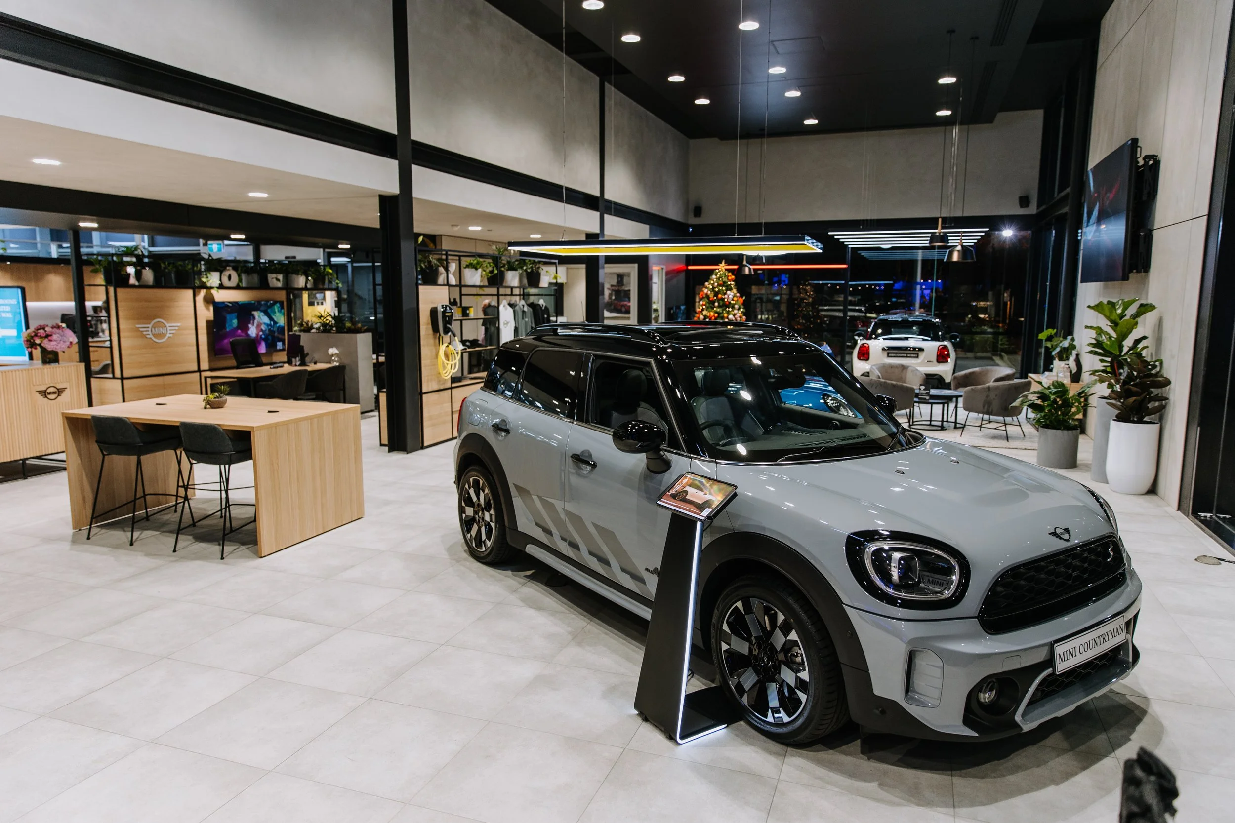 Mini (184 of 242).jpg