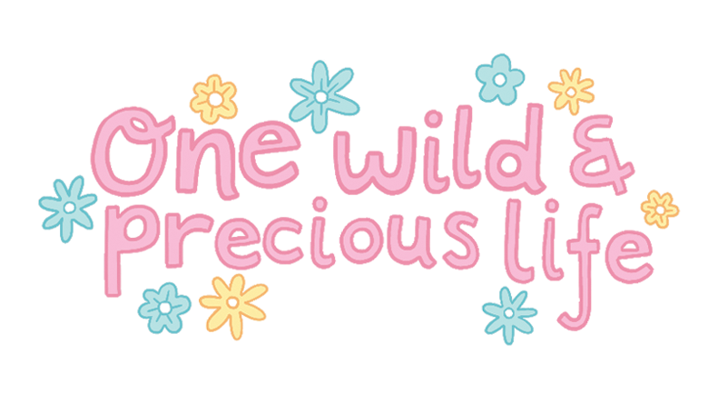 Big Sis Briefing: The Illusion Of Certainty