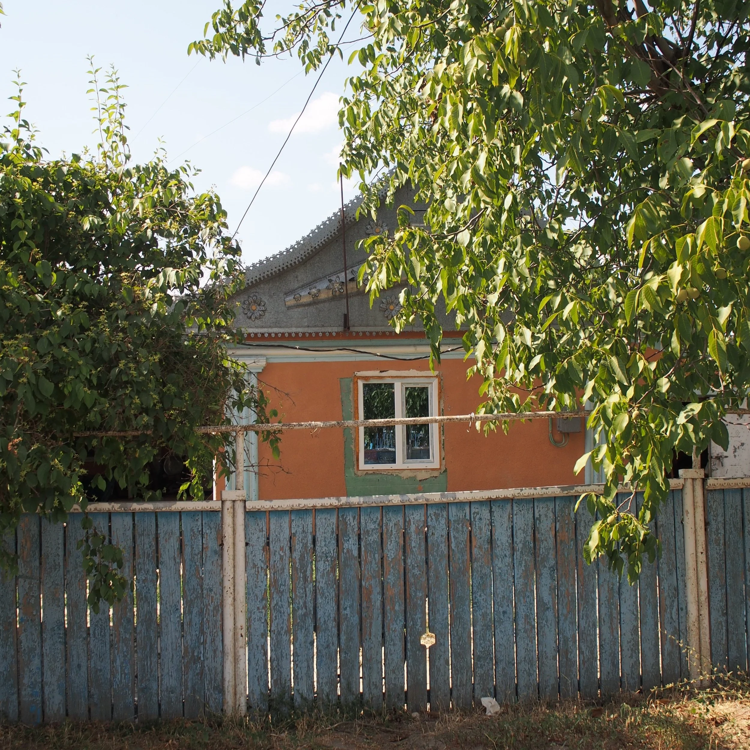 P1010975.jpg