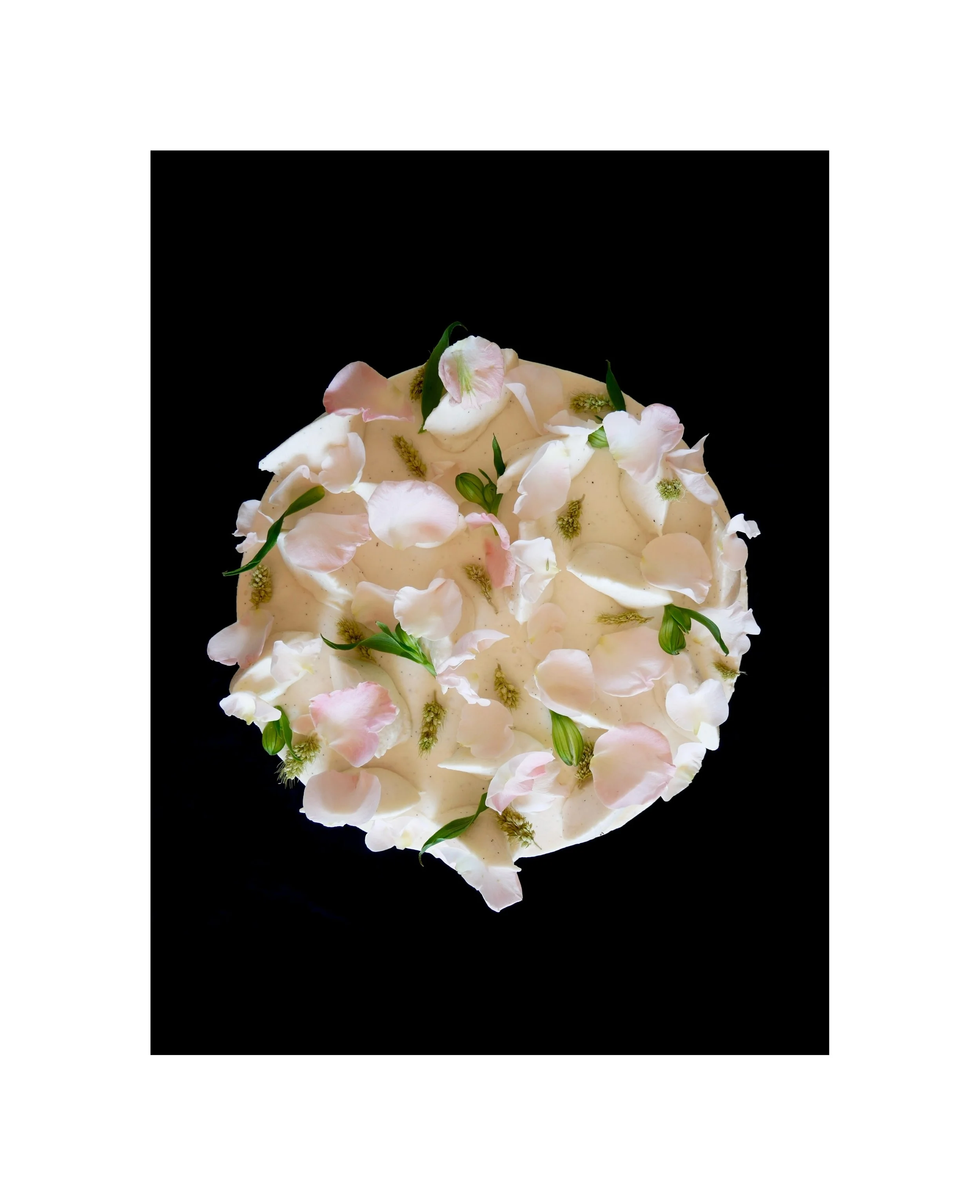 Passionfruit Burnt Vanilla Sponge Cake