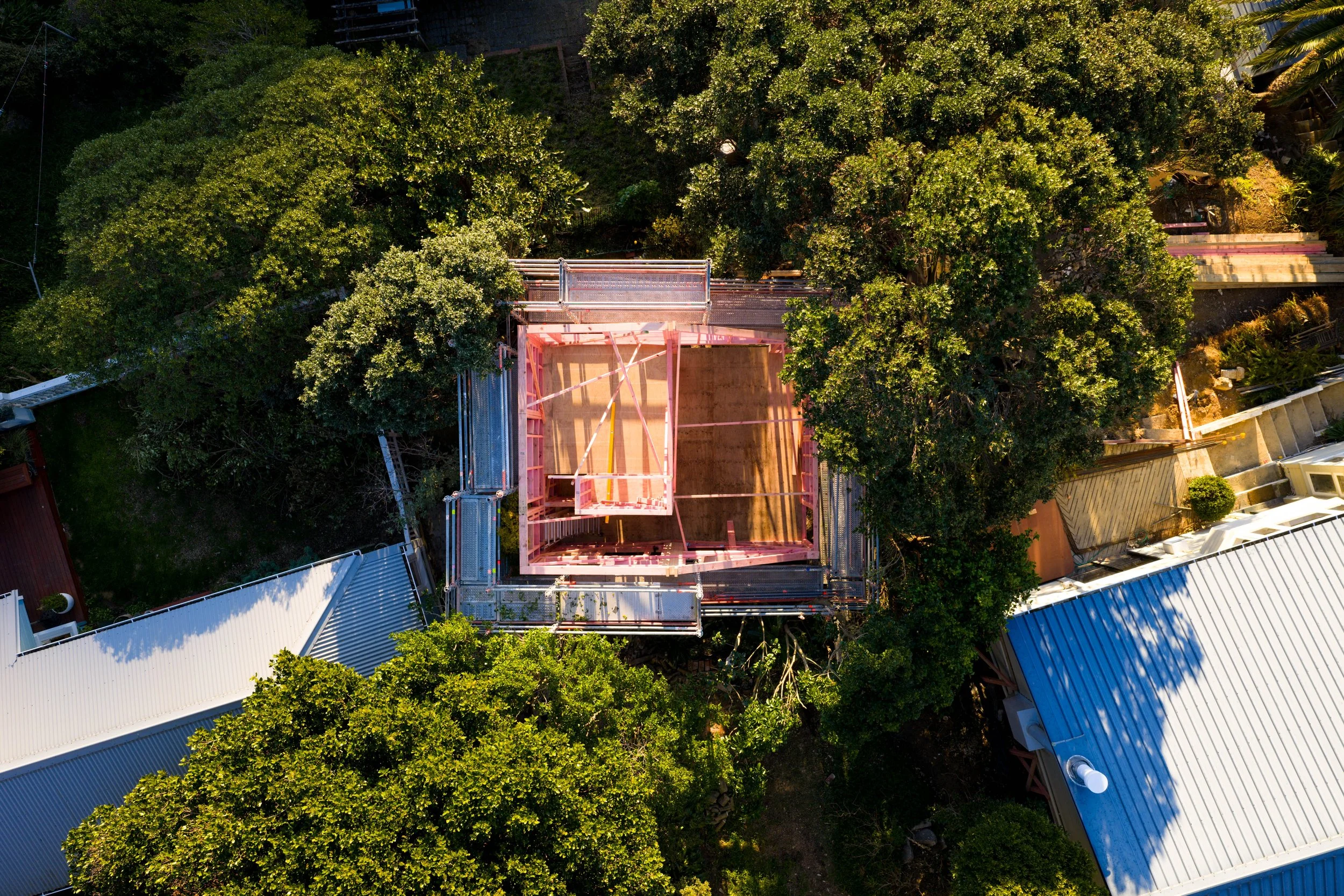 The Treehouse
