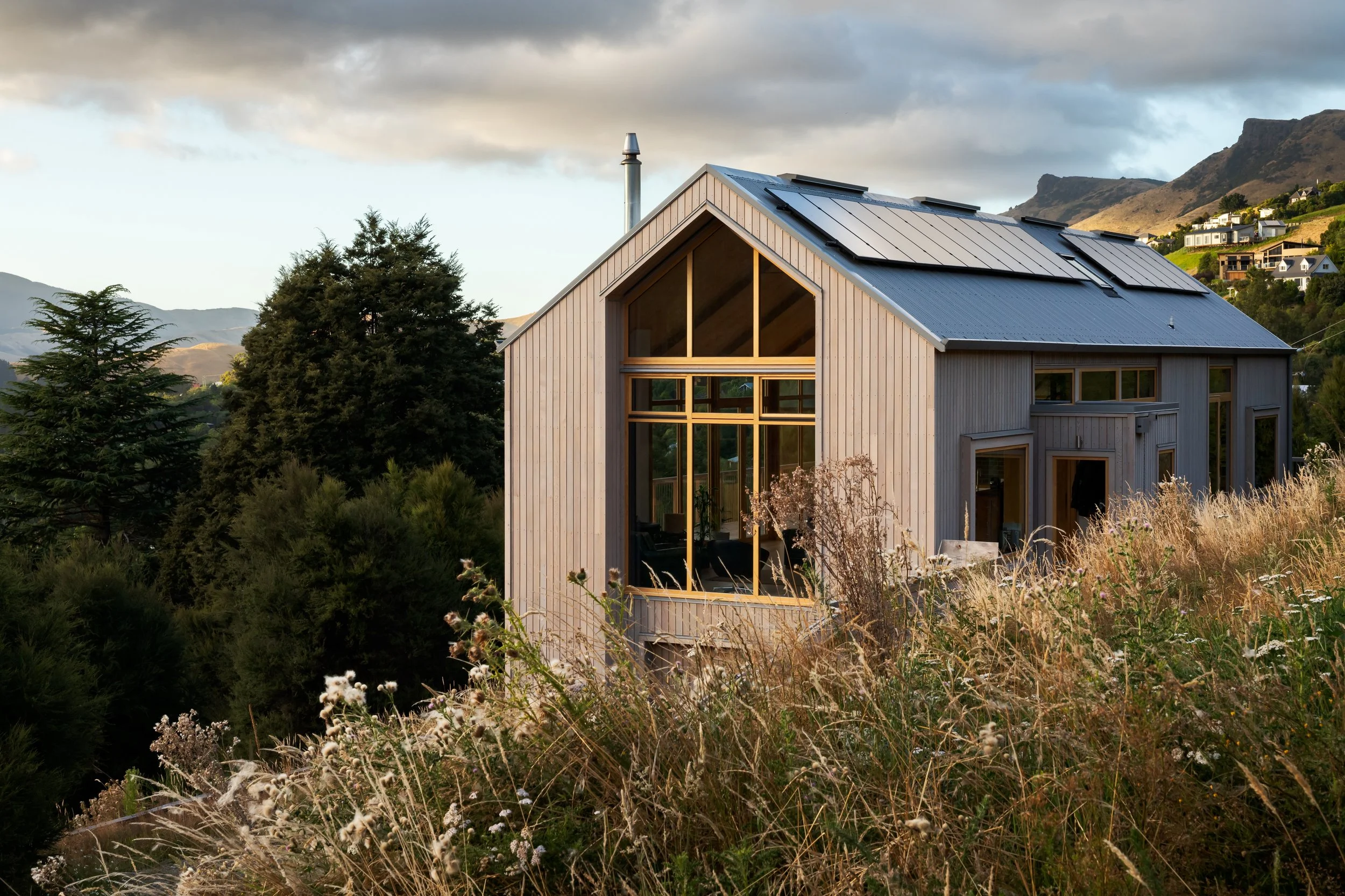 Front view of a compact timber gabled house through native vegetation.