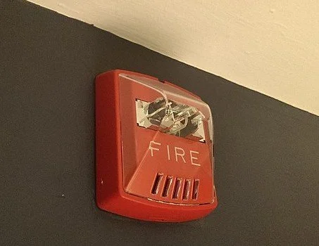 Ignorance: An Escape Plan 