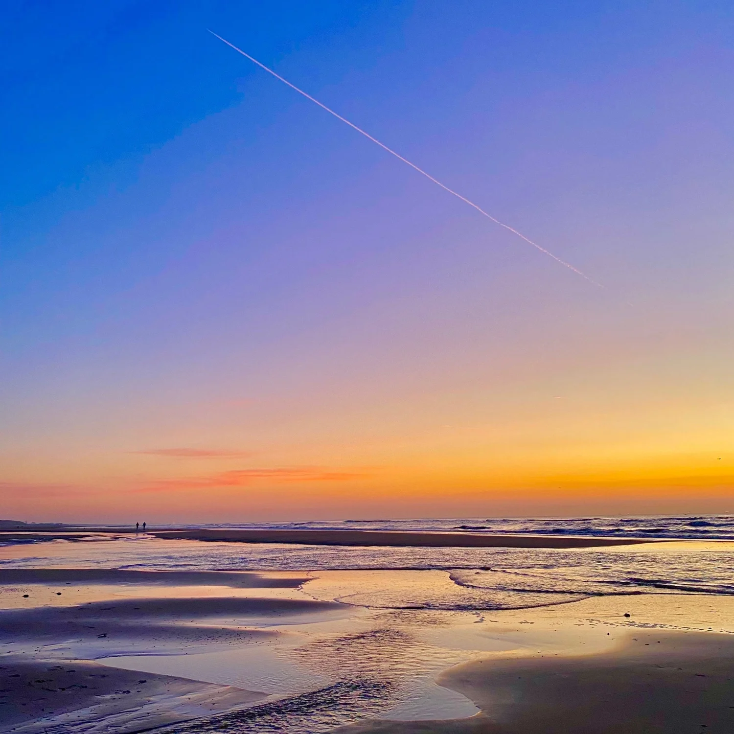 Episode#010: calm& collected/淡定(dàndìng) Episode#010: calm& collected/淡定(dàndìng)