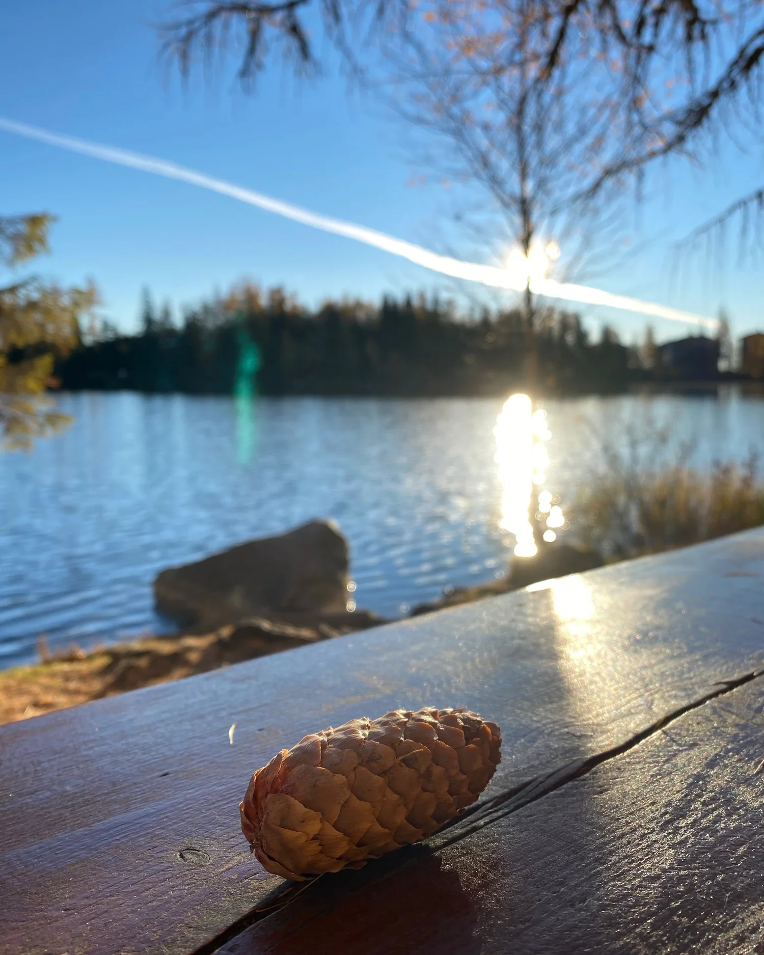 Episode#020: “Be water, my friends” / 「化為水吧,朋友」 Episode#020: “Be water, my friends” / 「化為水吧,朋友」